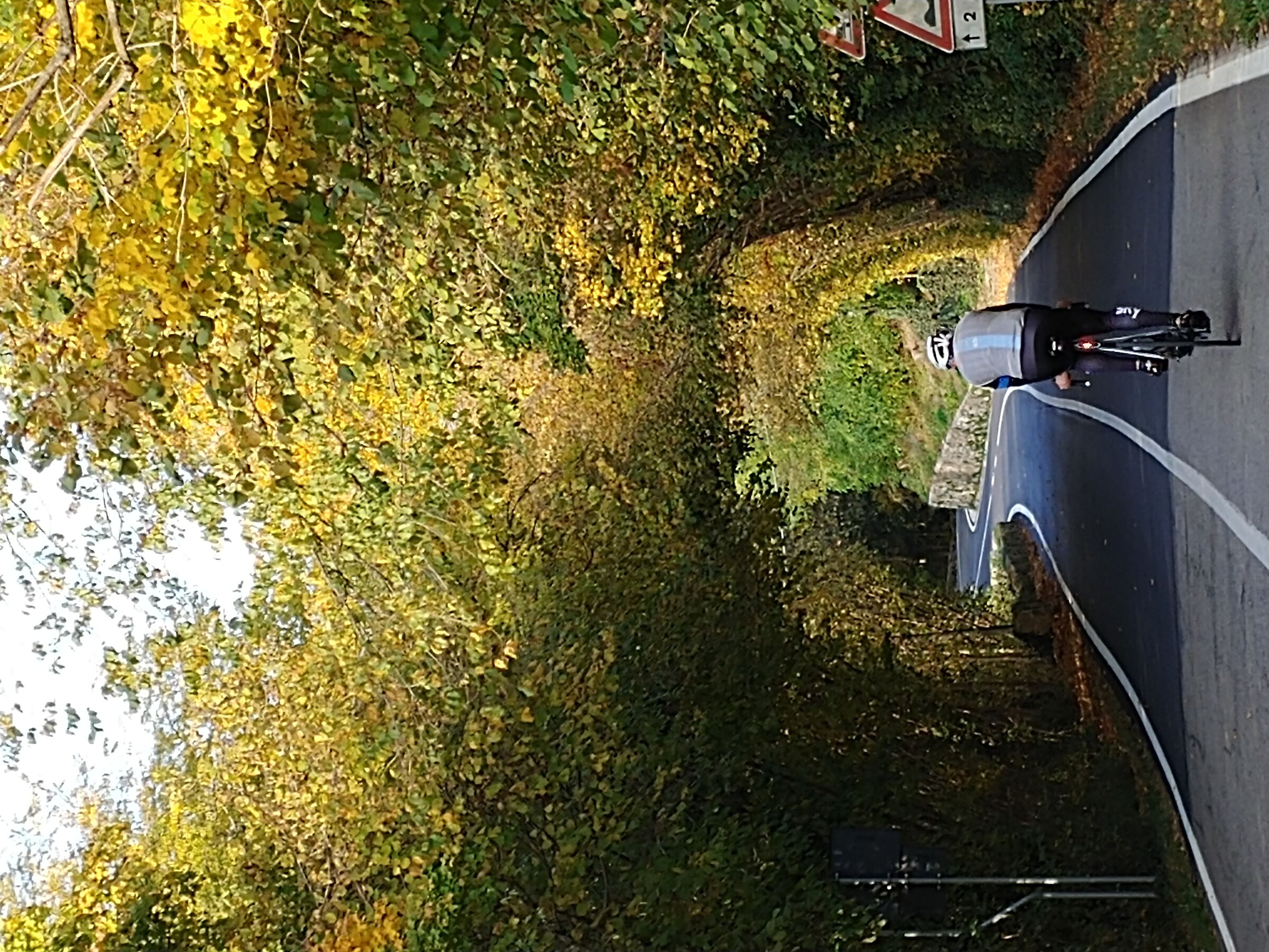 Quando pedalare é un piacere