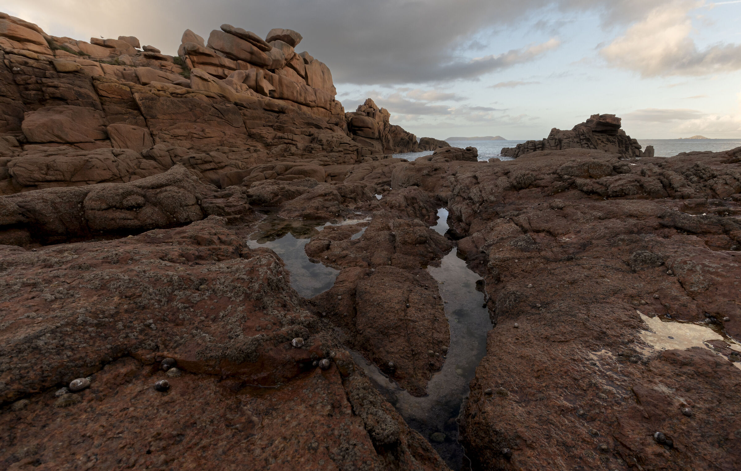 Ploumanac'h con la bassa marea