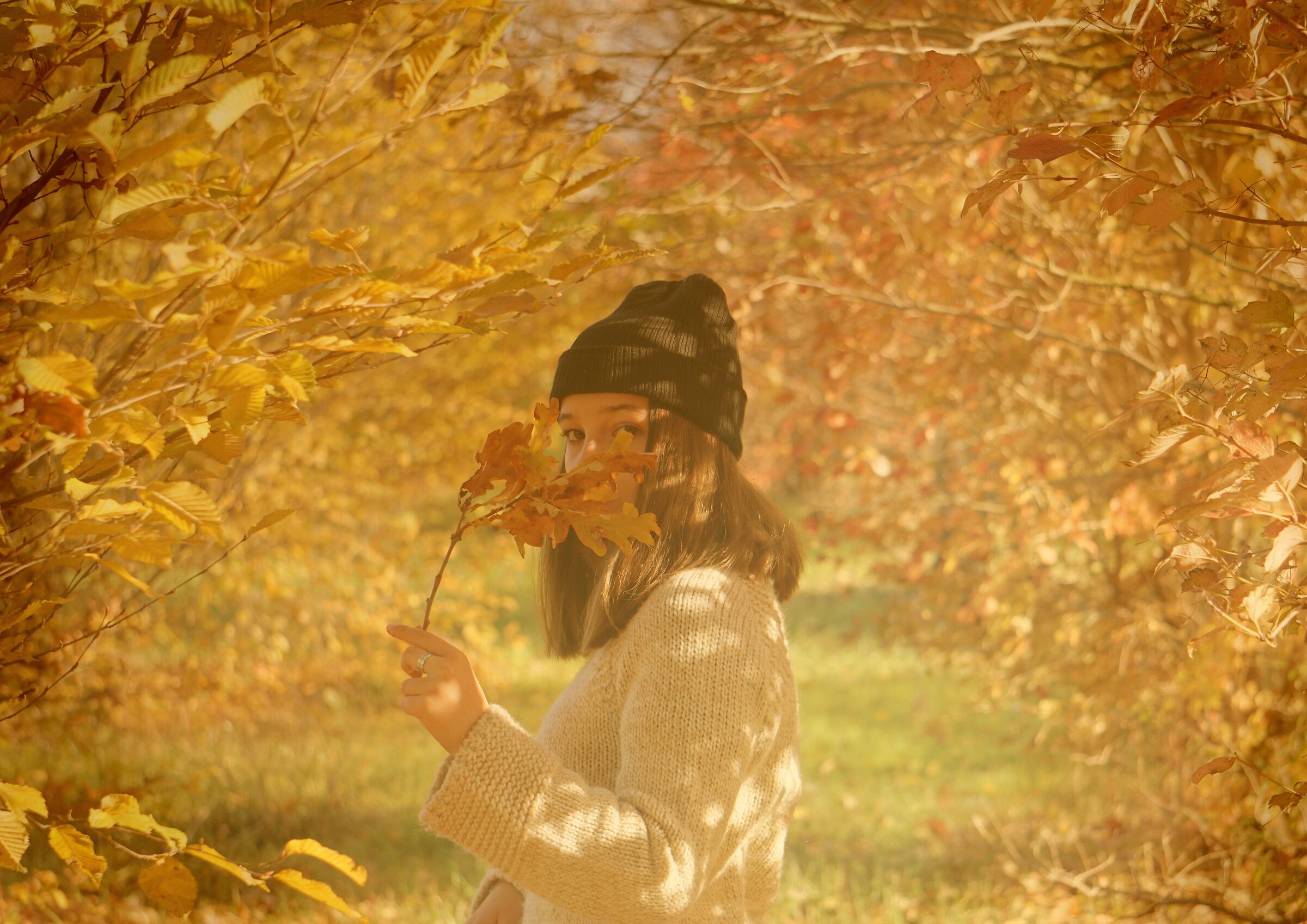 In autumn