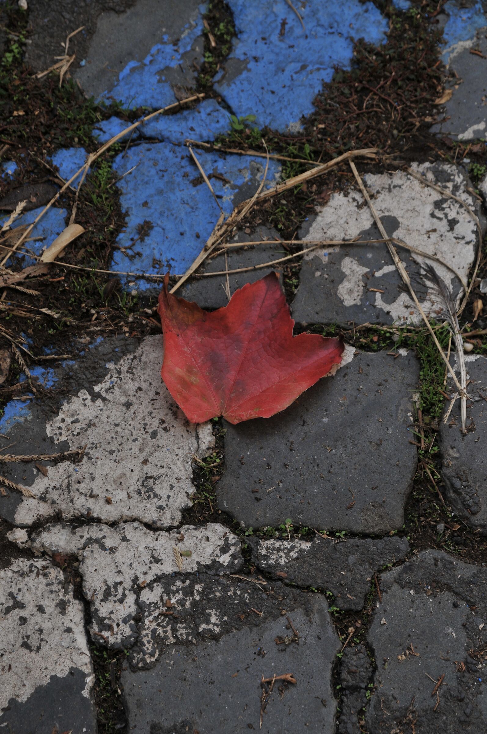 Seduced and abandoned