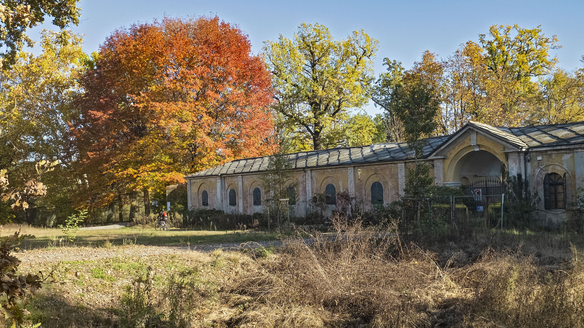 The colors of the Herd of Venaria