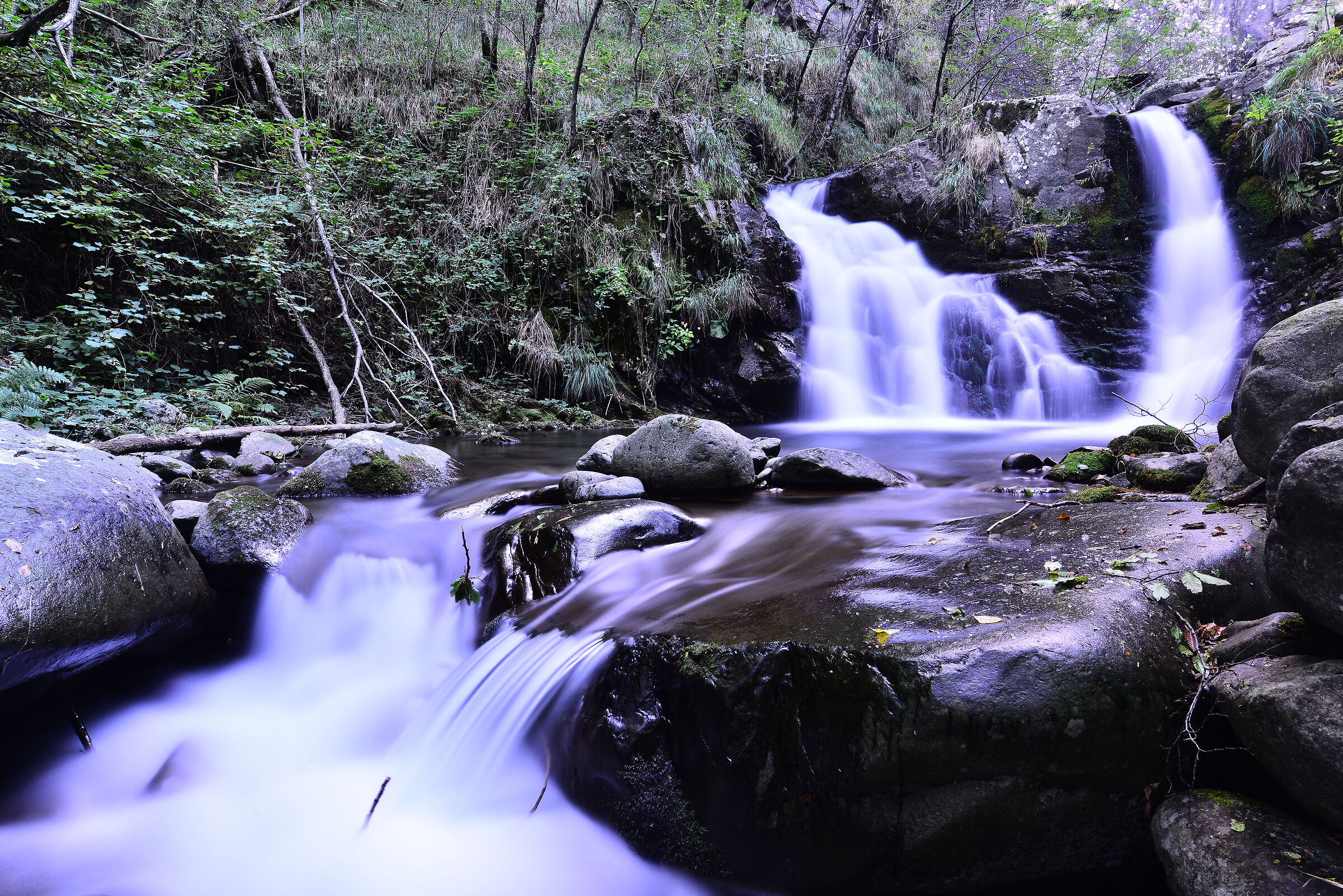 Torrent Acquetta