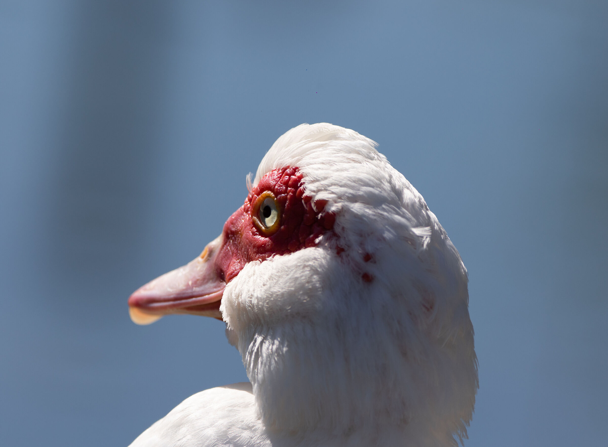 va che ti guardo sai!!!!!