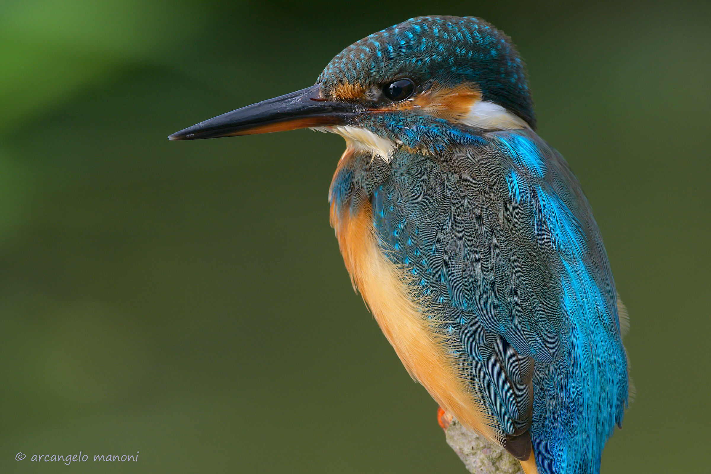 First floor at the martina