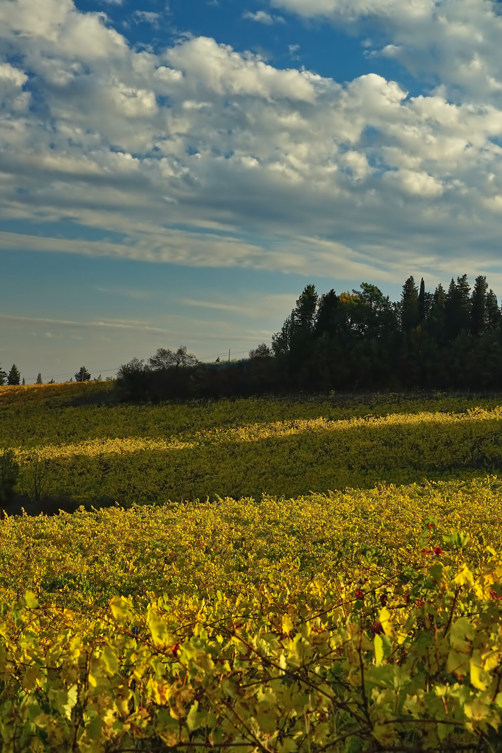 Toscana in Autunno