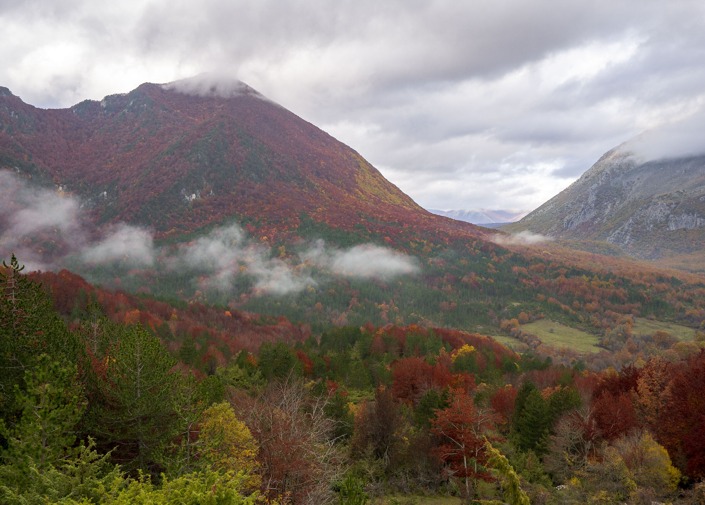 In the heart of PNALM