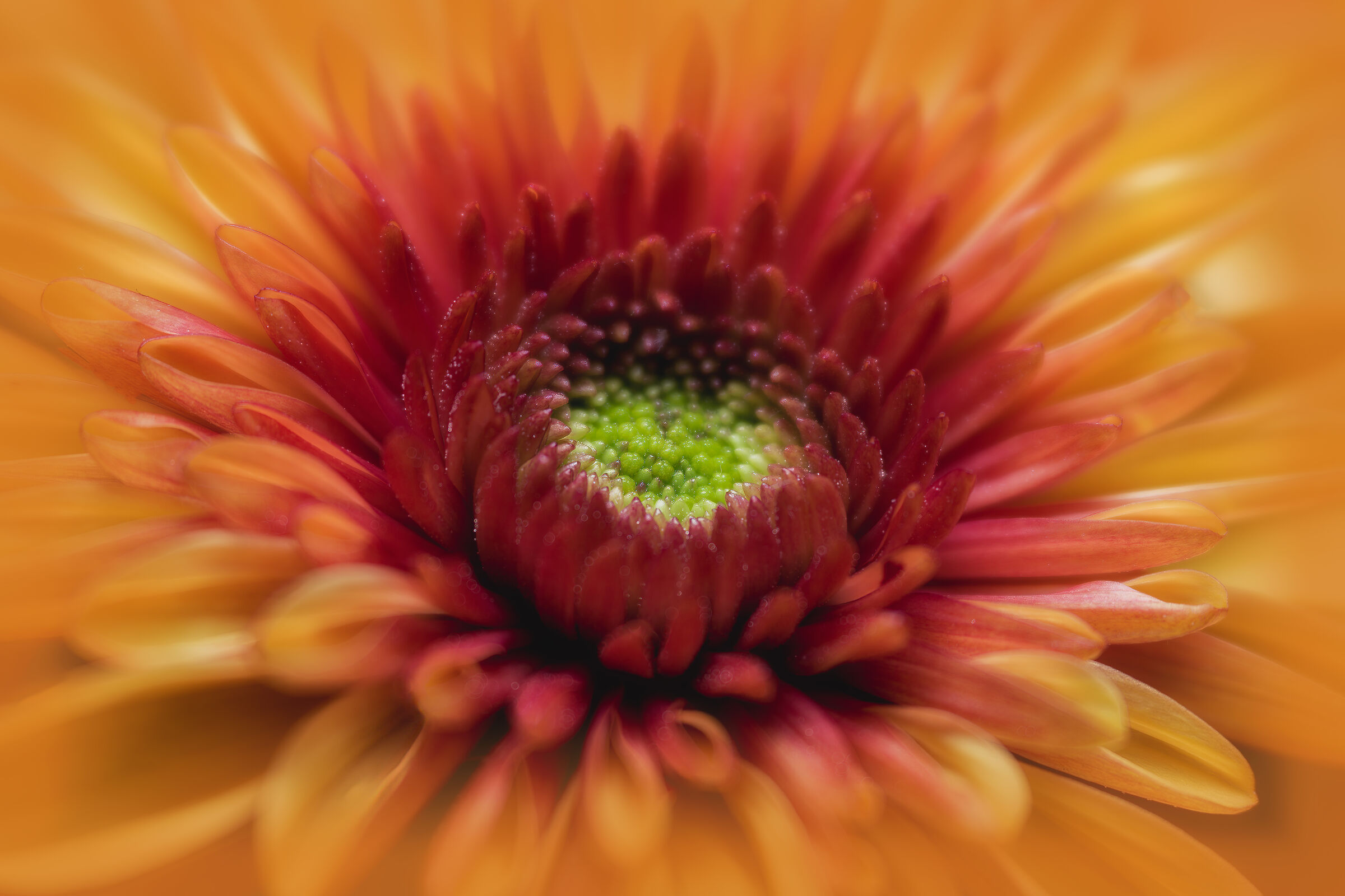 Yellow explosion