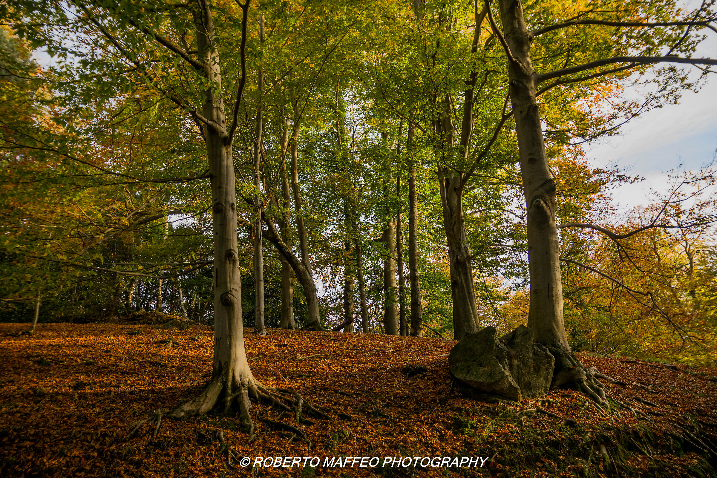 parco della burcina pollone(biella)