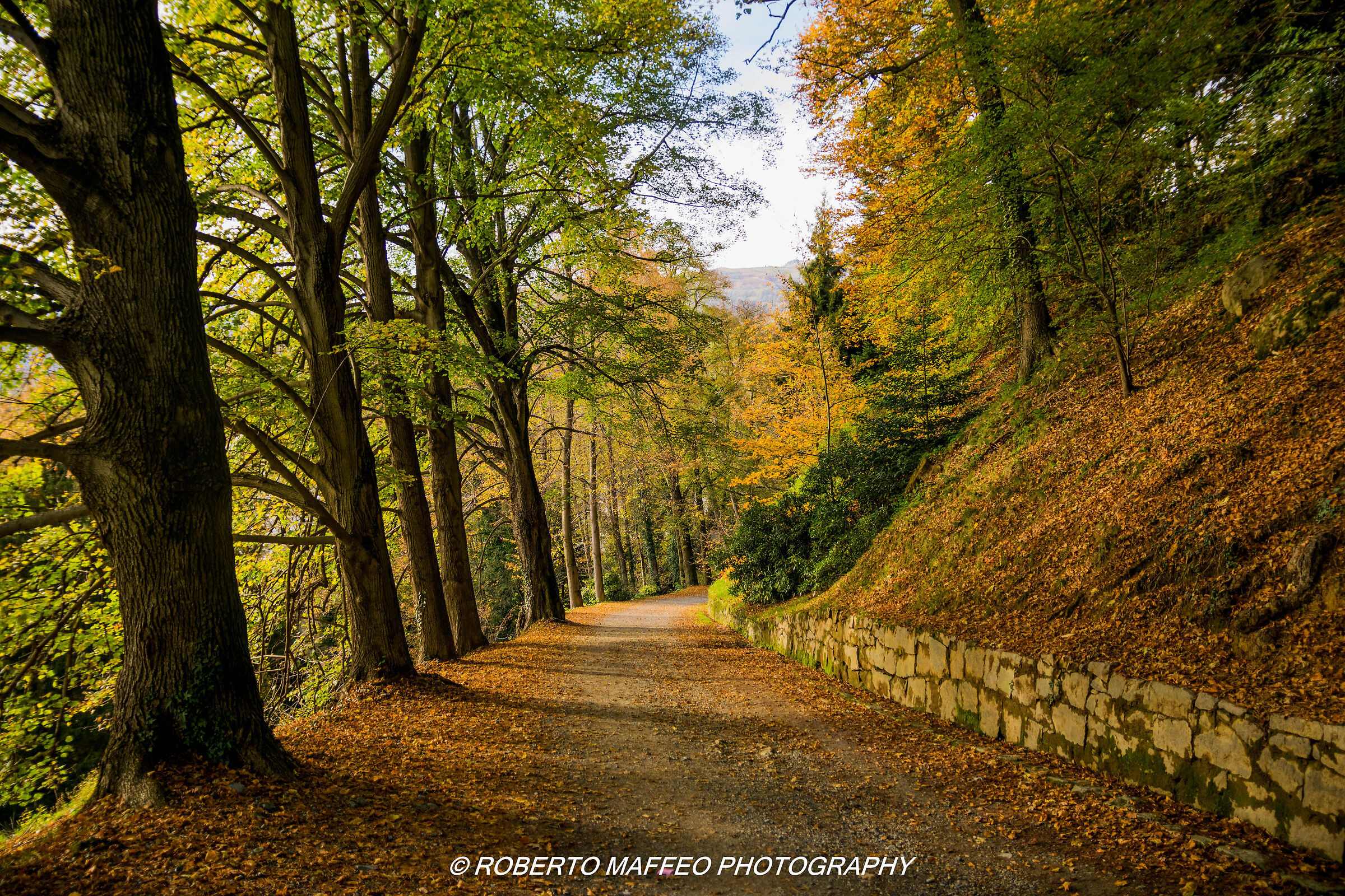 parco della burcina pollone(biella)