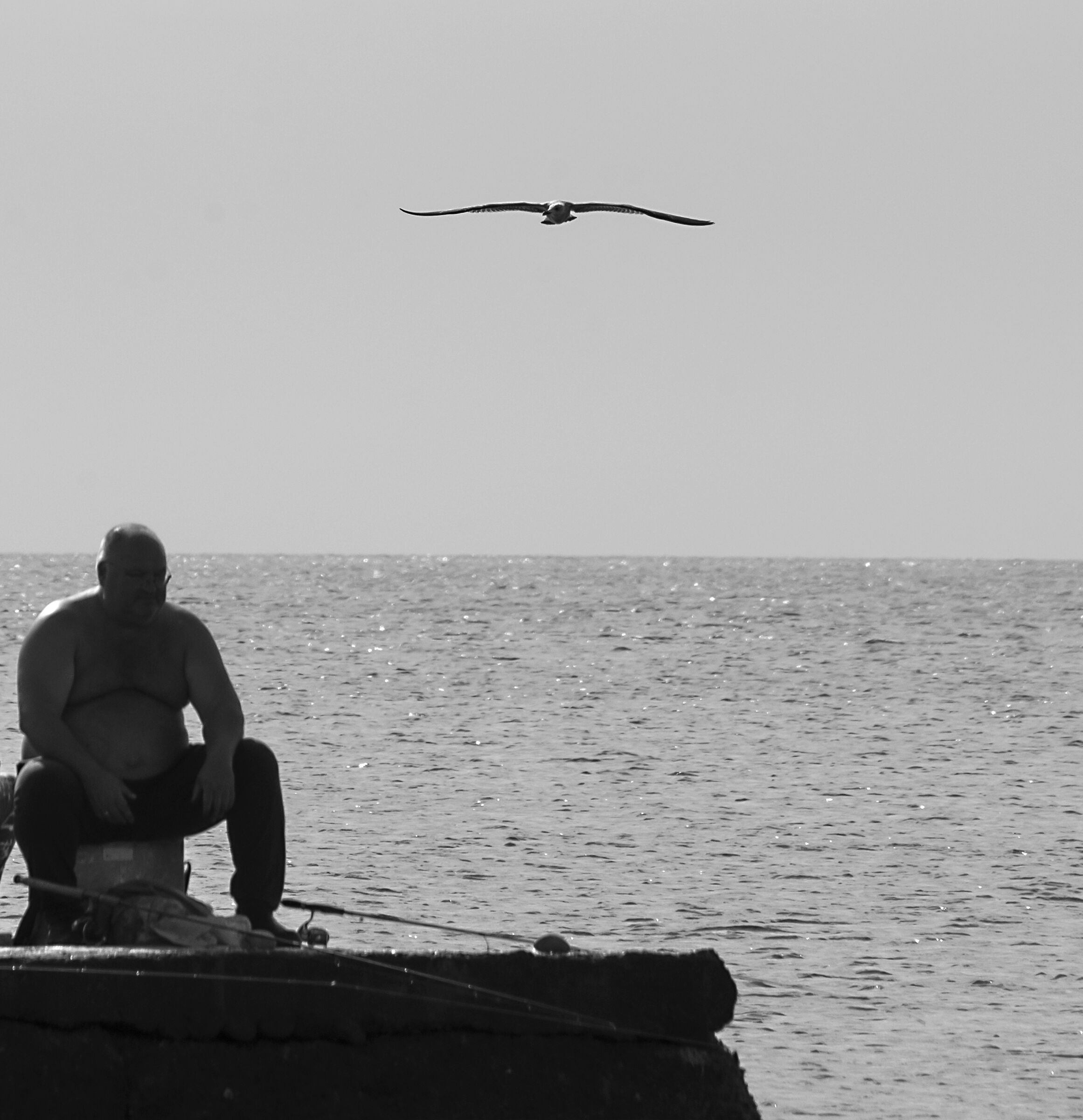 Albatross contro pescatore.