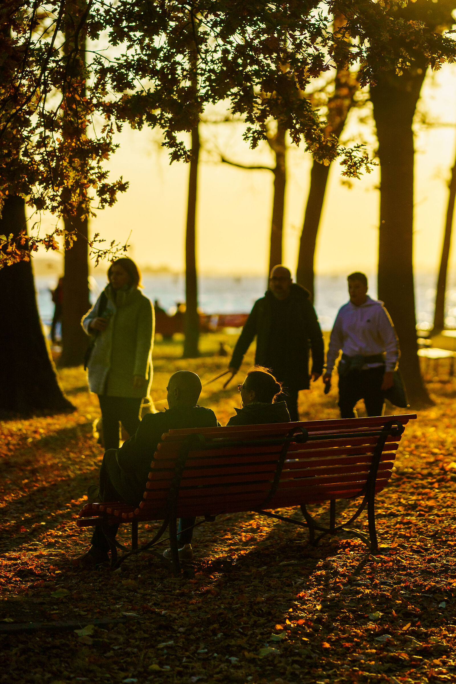 Enjoy the sunset