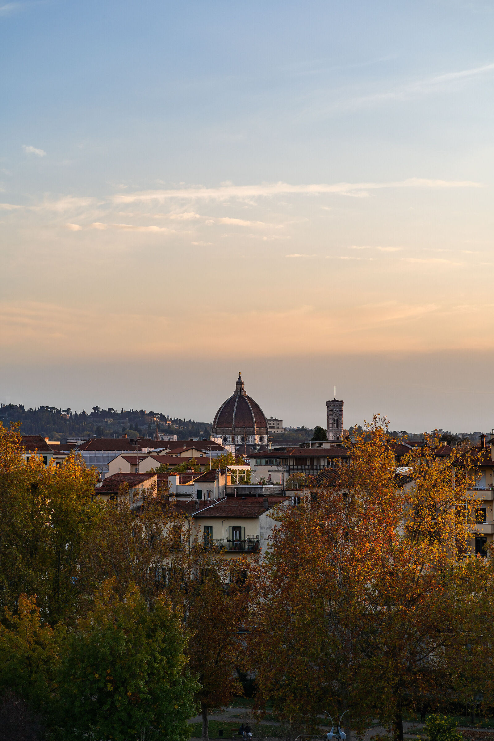 Autumn at the Parnassus Gardens