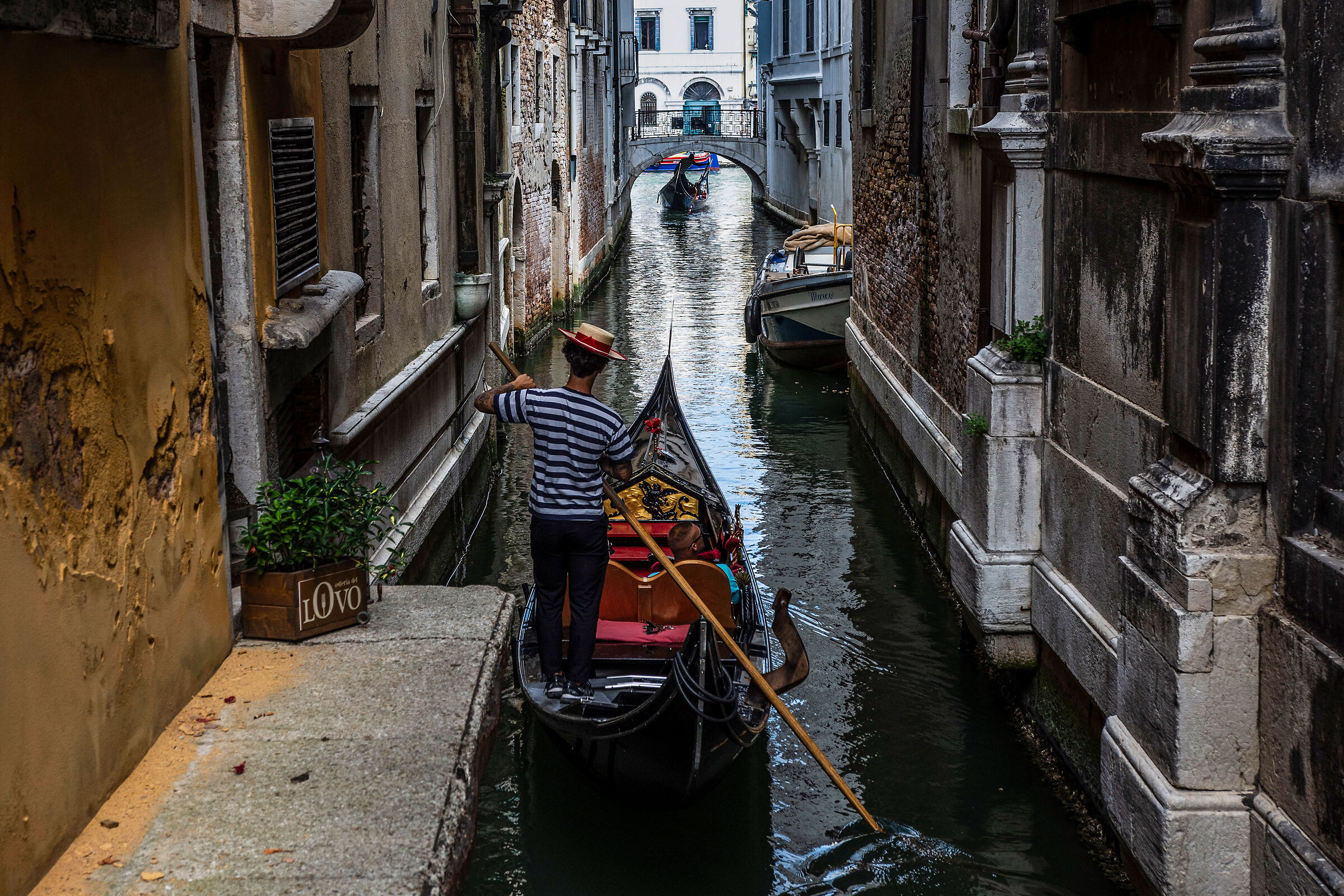 the gondolier