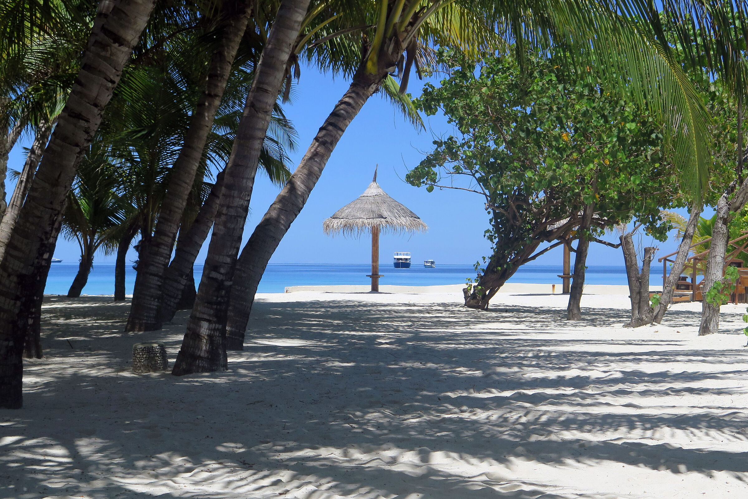 Sulla spiaggia dell'eterno estate...