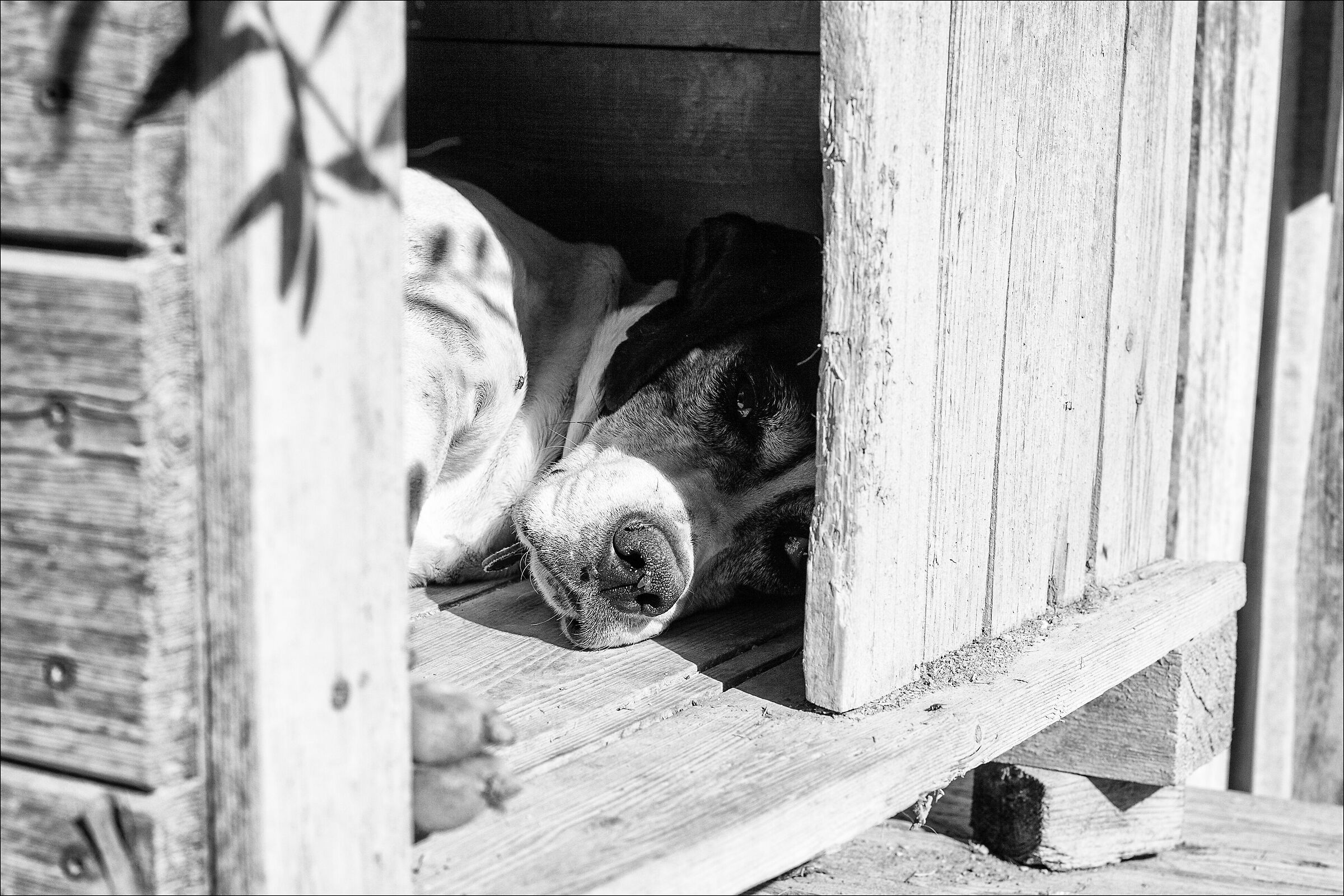 Noemi, al rifugio Ohana