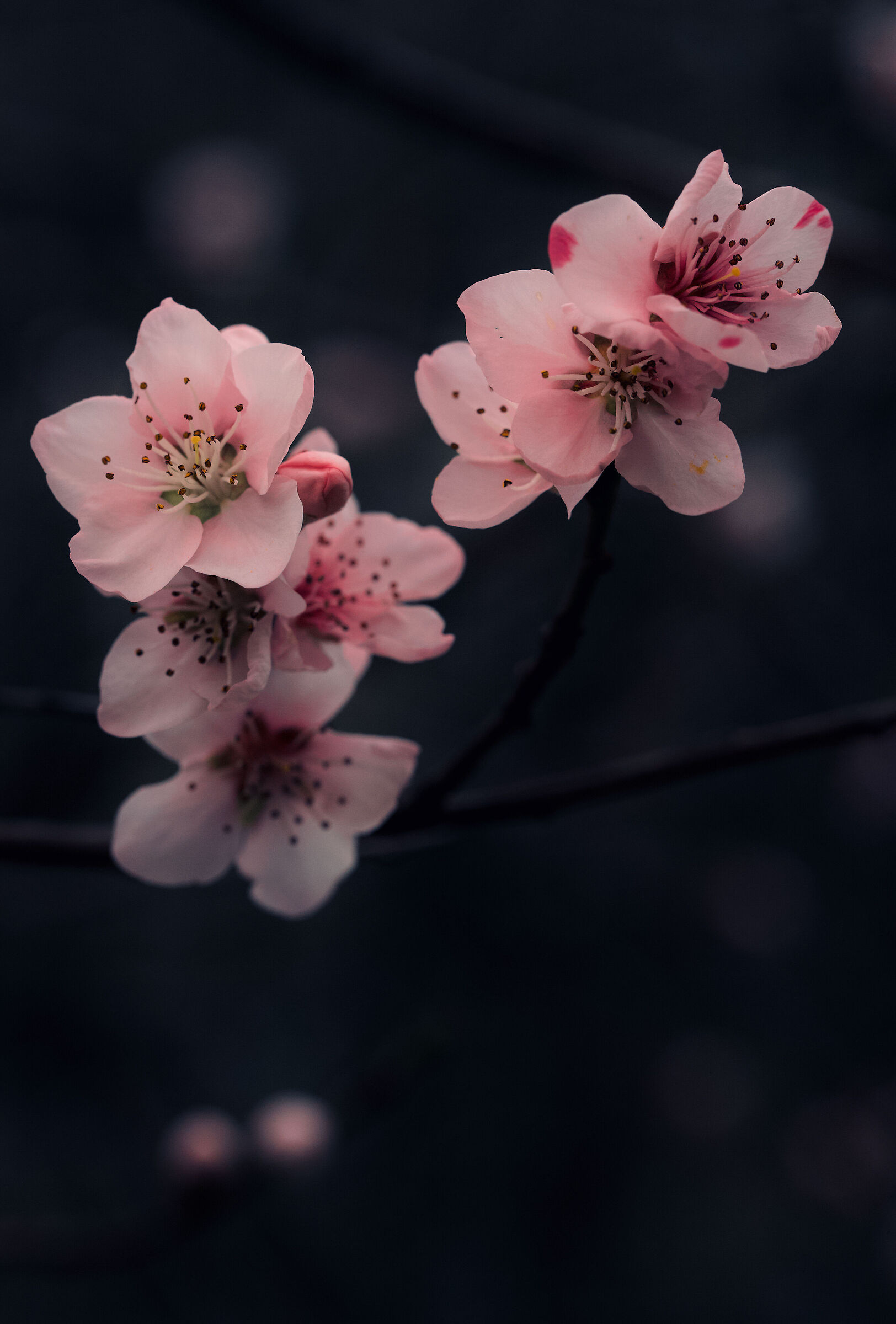 Fragile