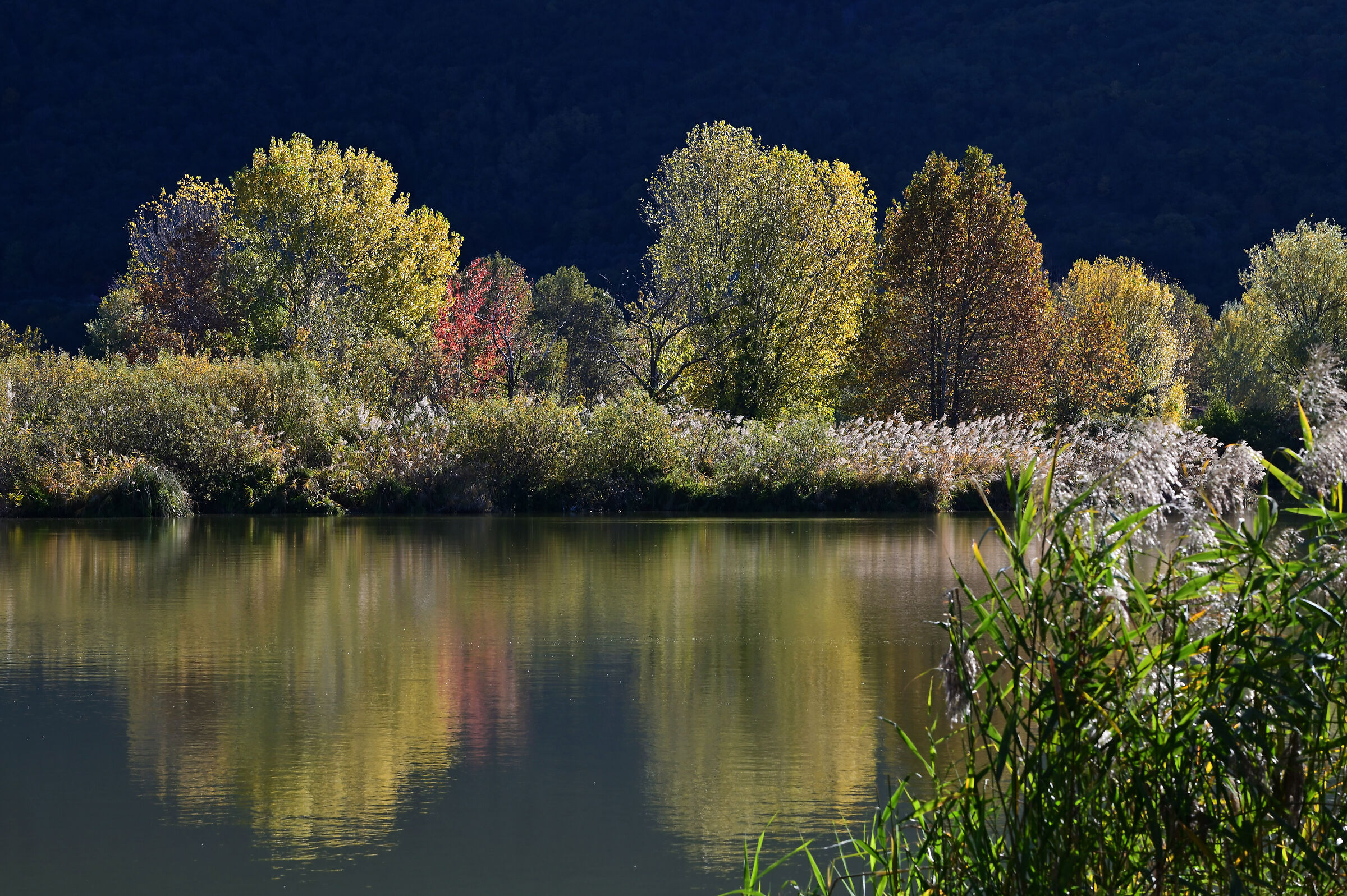 The beauty of autumn.