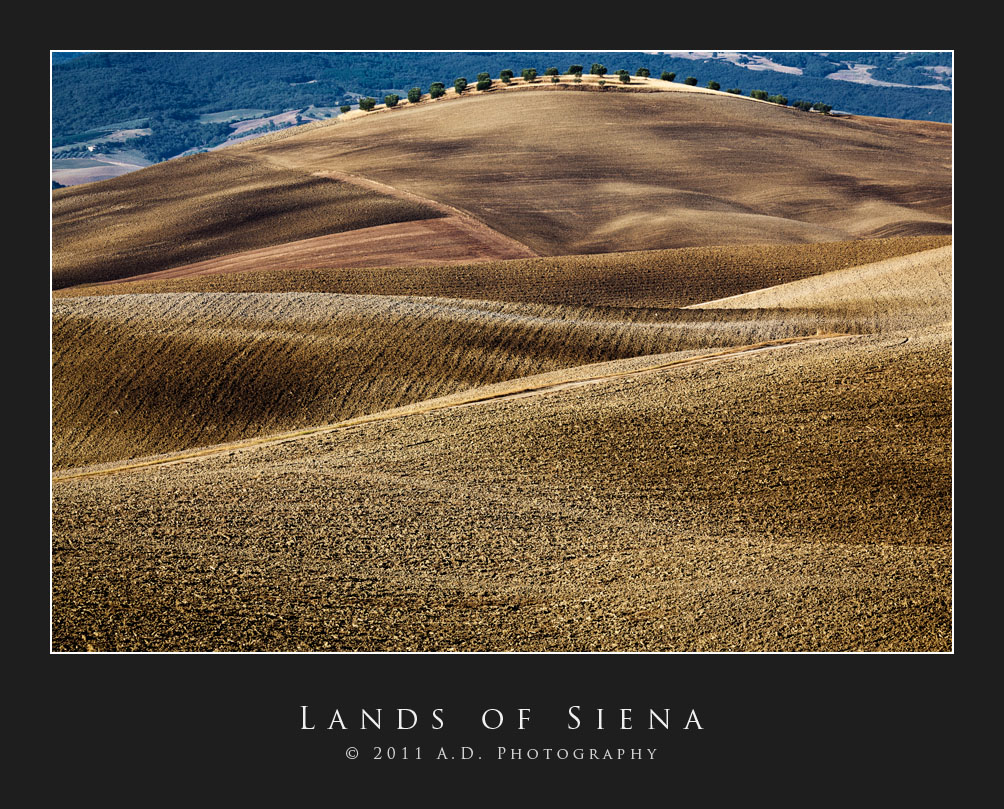 Lands of Siena