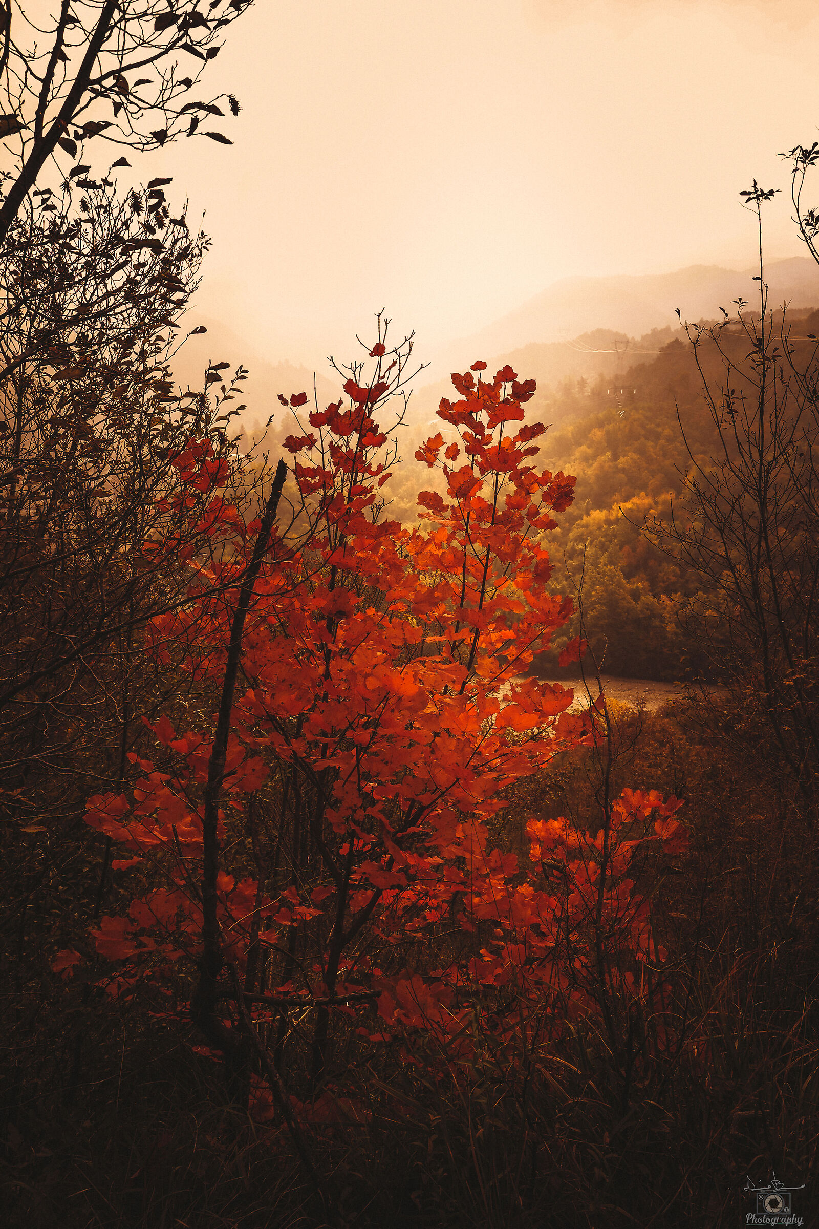 Autunno con I suoi colori