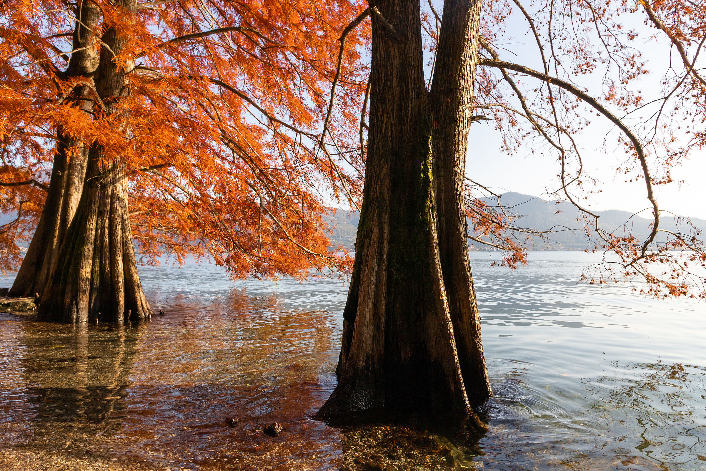 Lago di Iseo