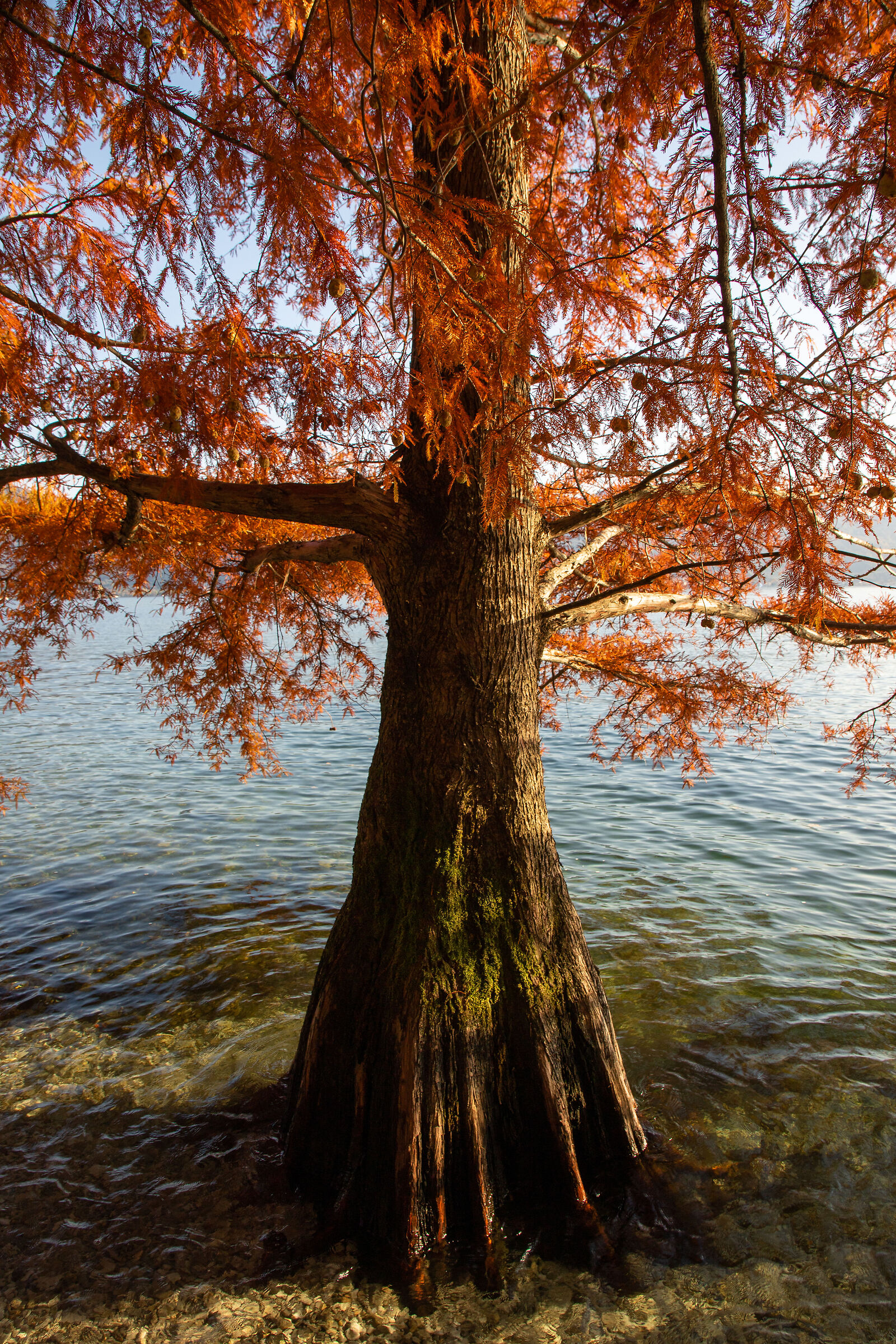 Lago di Iseo