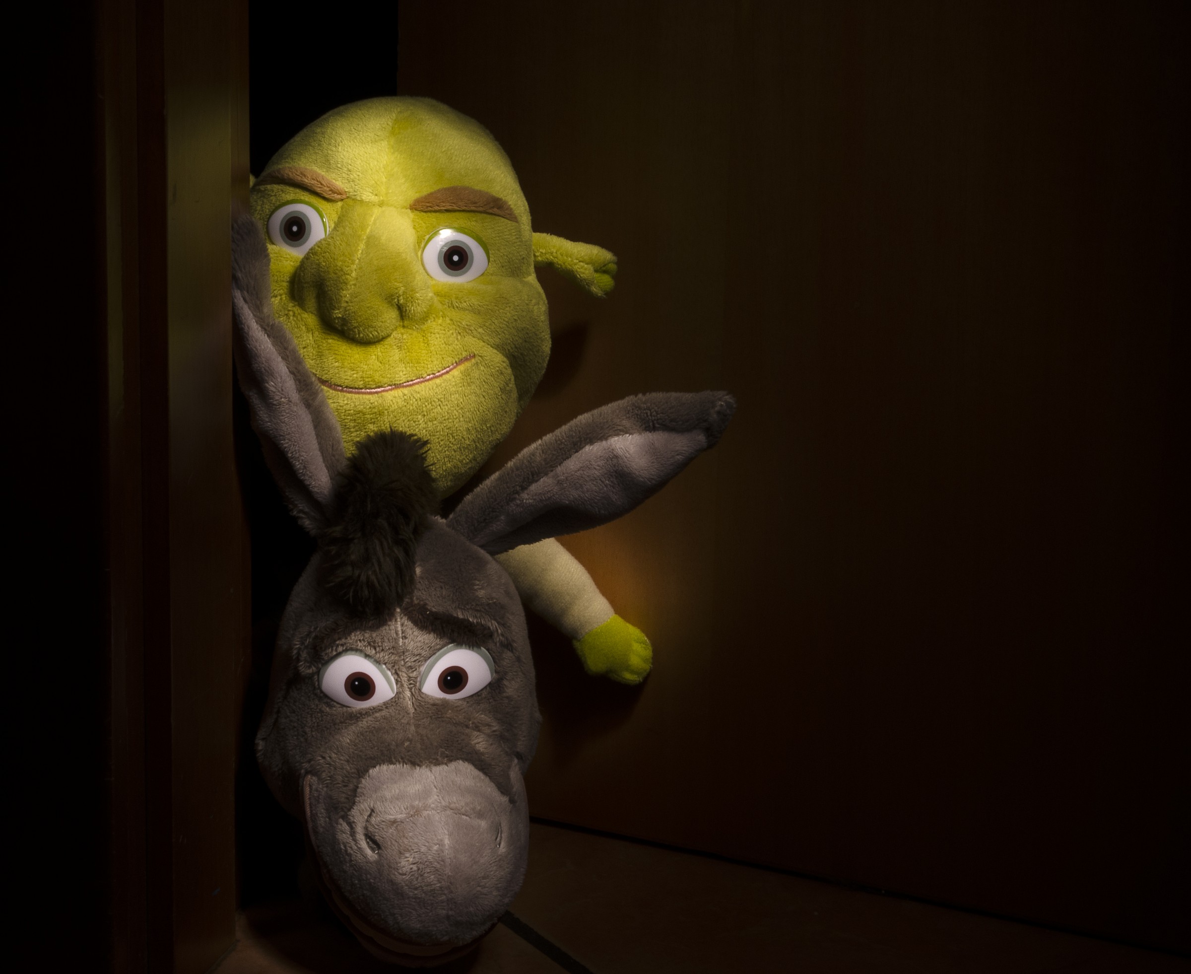 Shrek and Donkey
