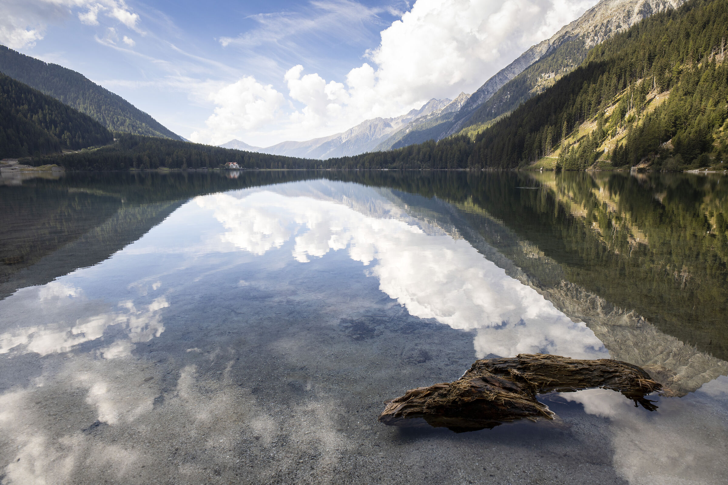 Immersed in reflections