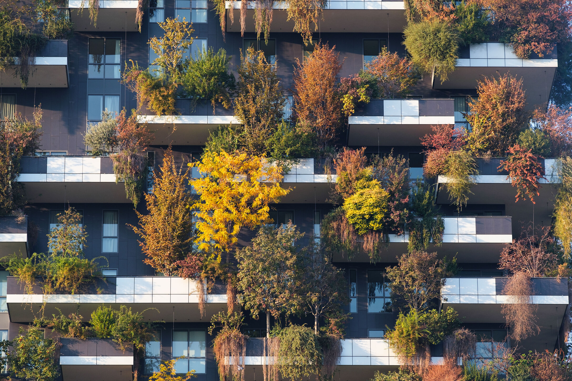 Vertical forest