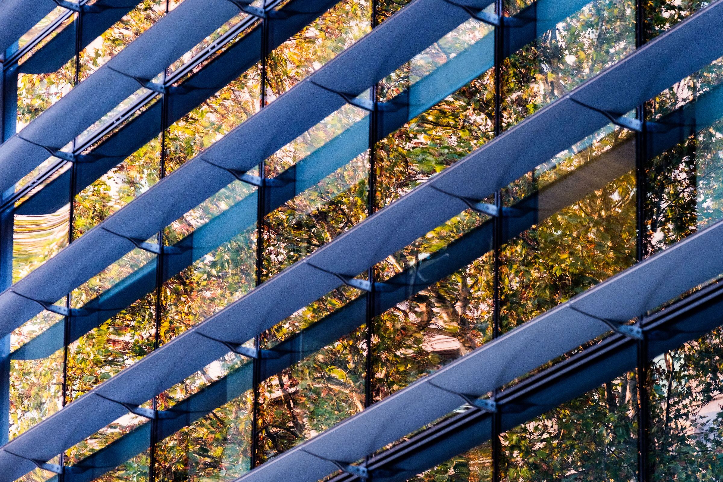 Reflex Foliage