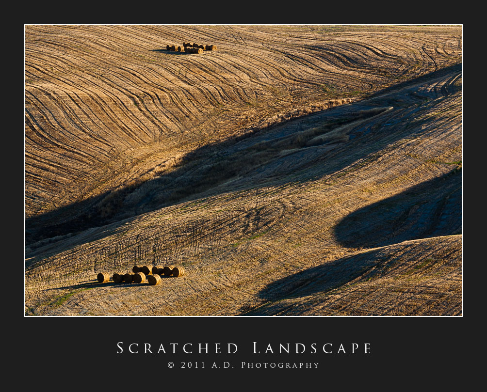 Scratched Landscape