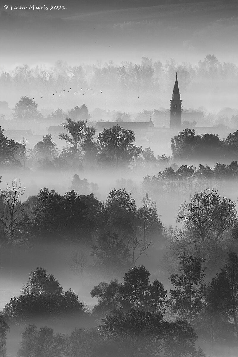 La nebbia agli irti colli