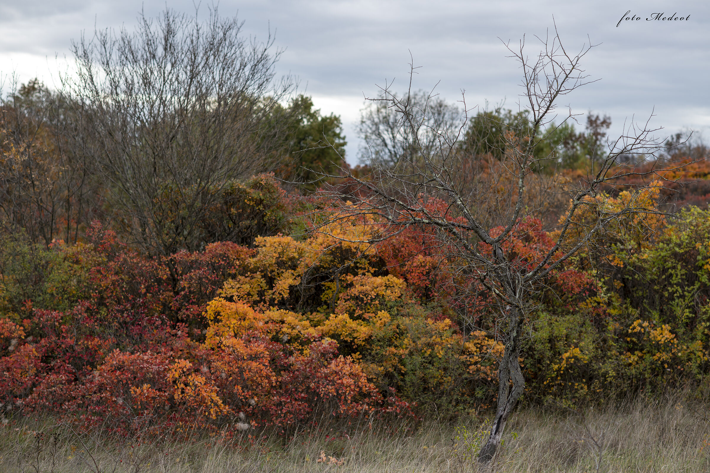 I colori del carso in autunno