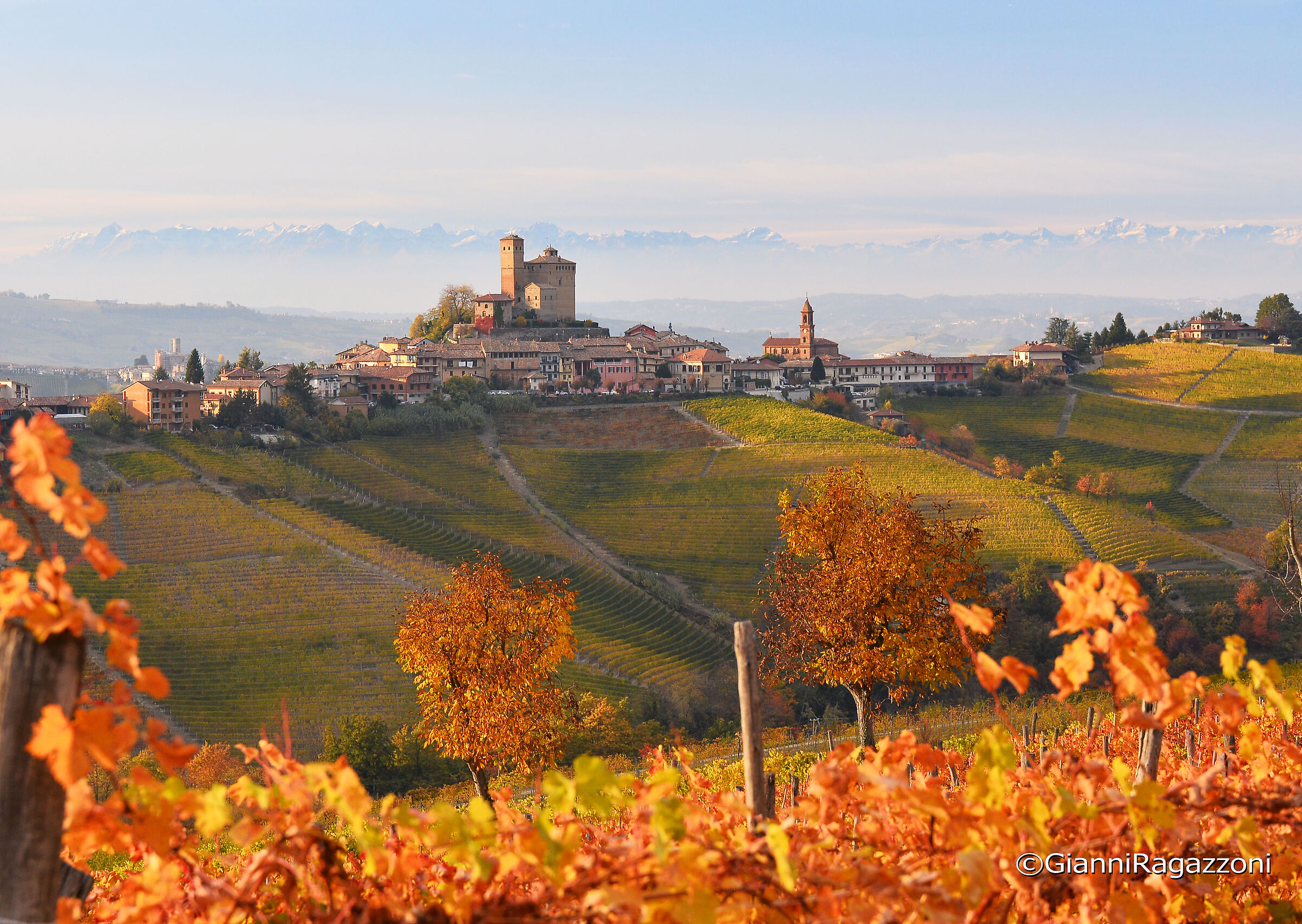 Serralunga d'Alba - Langhe