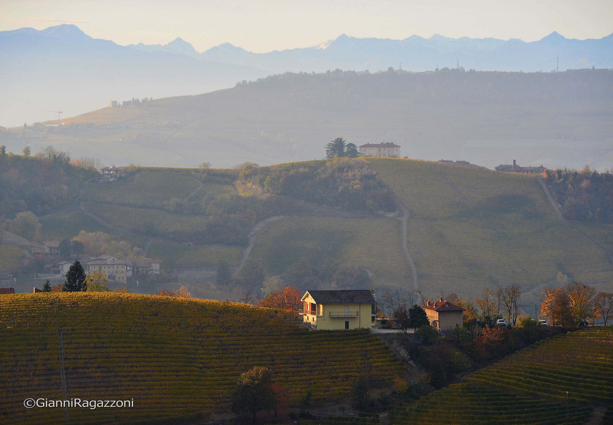 Hills of Barolo