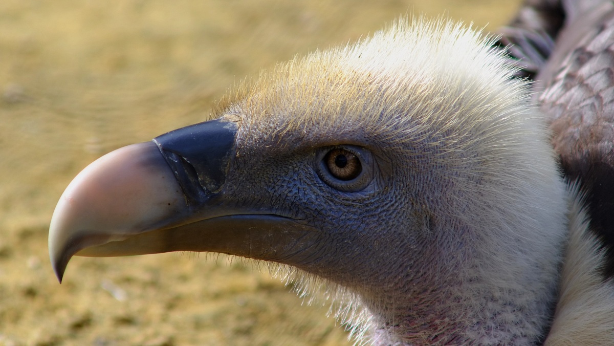 Il mio profilo migliore....