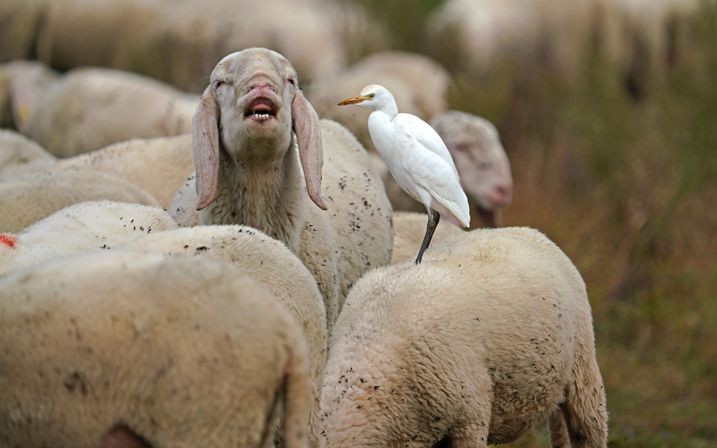 Quattro chiacchiere tra amici