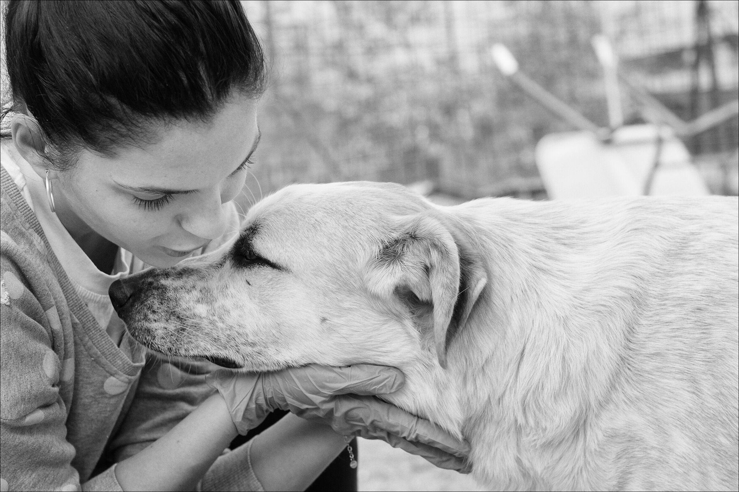 lovers... per noi loro sono importanti