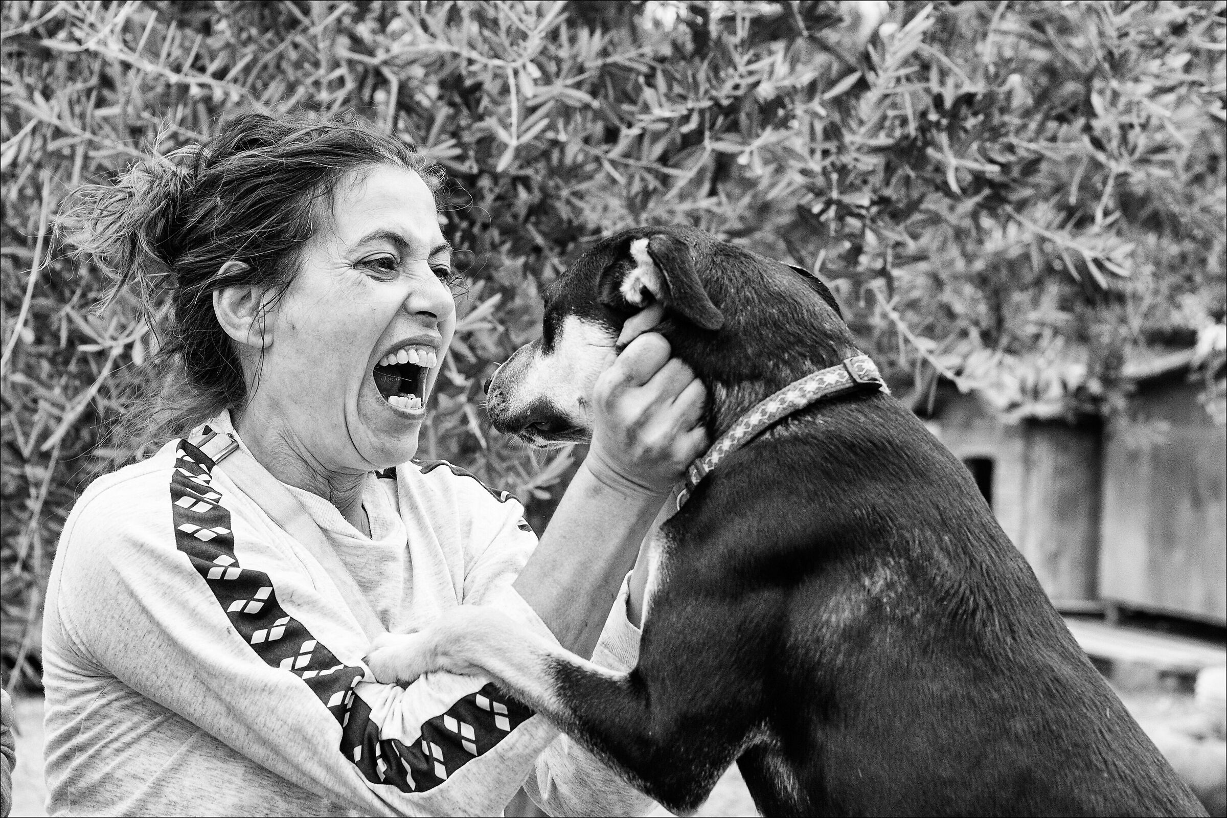 lovers... per noi loro sono importanti