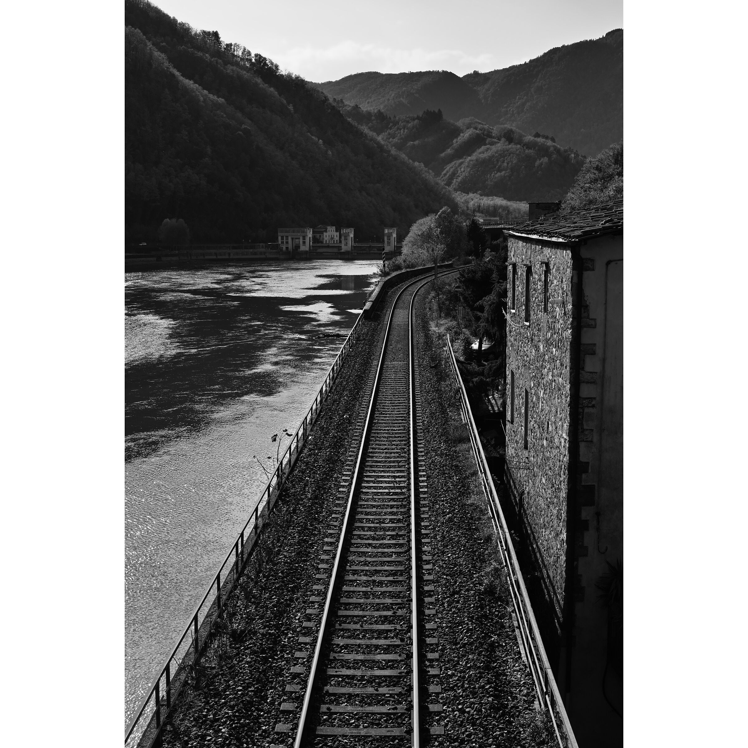 Untitled Photo