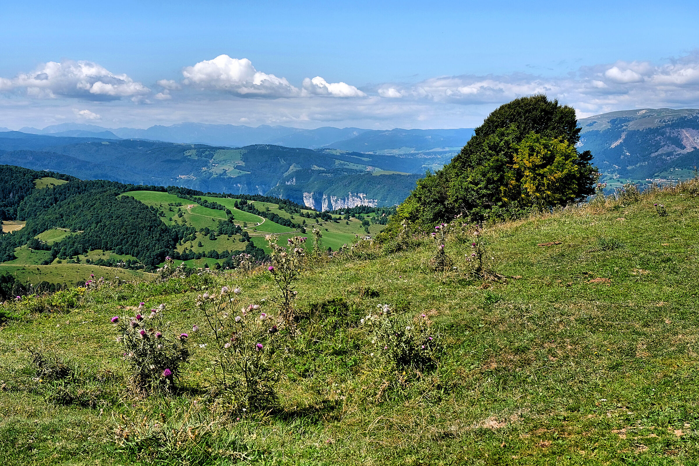 Monte Grappa Alpe Madre