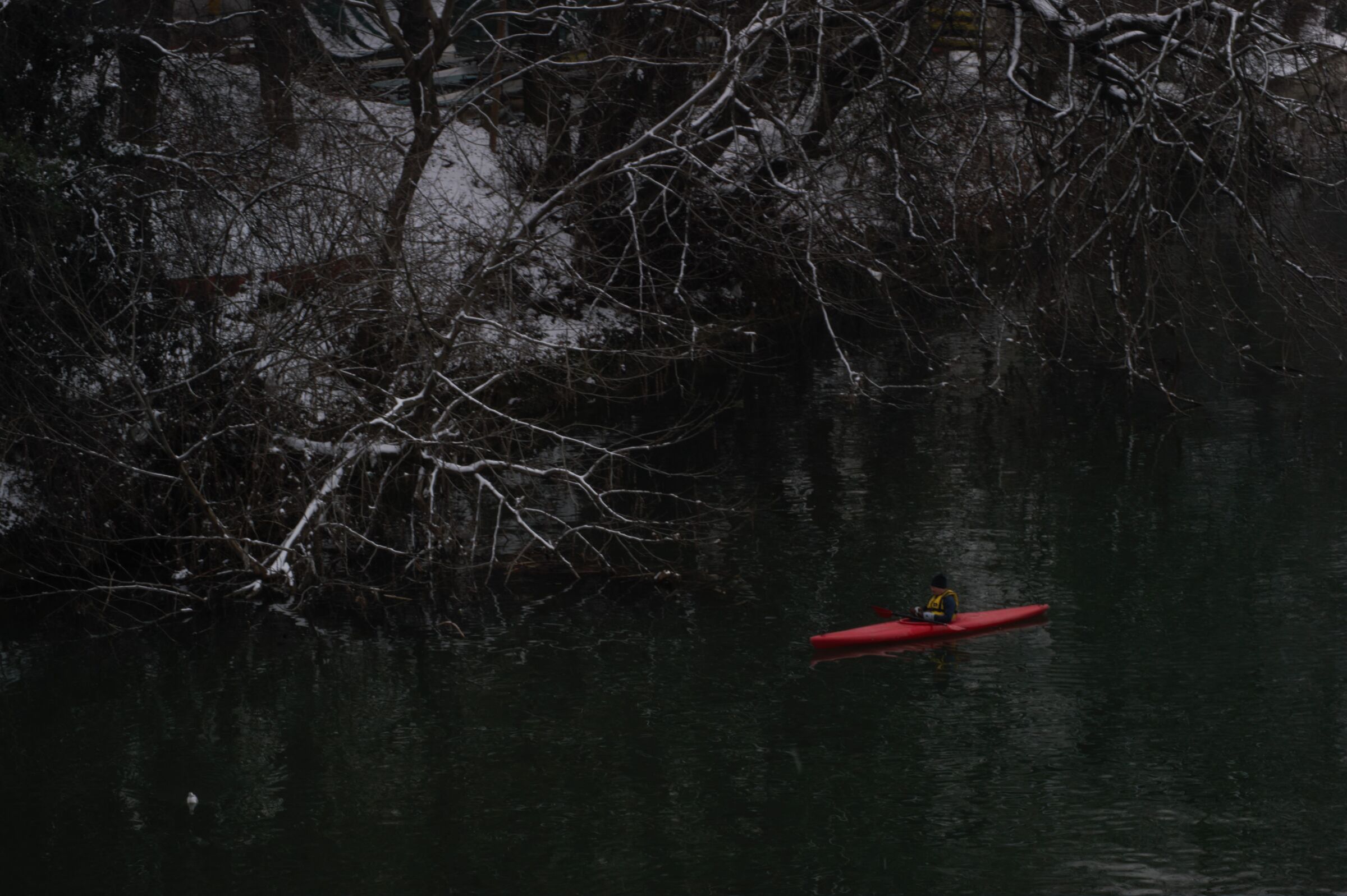 Red as passion, white as snow