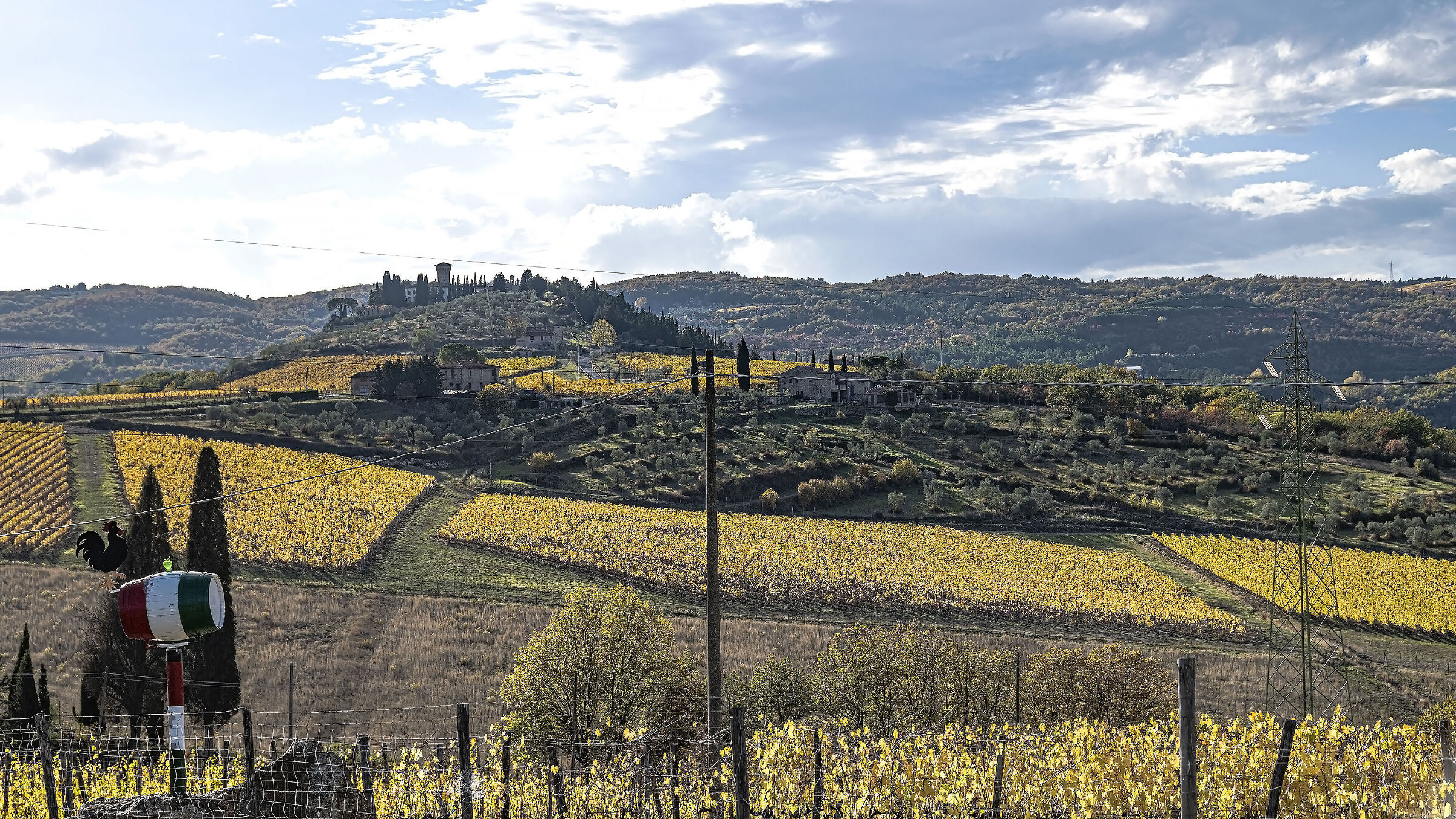 Sunset at the vineyards of Vicchio
