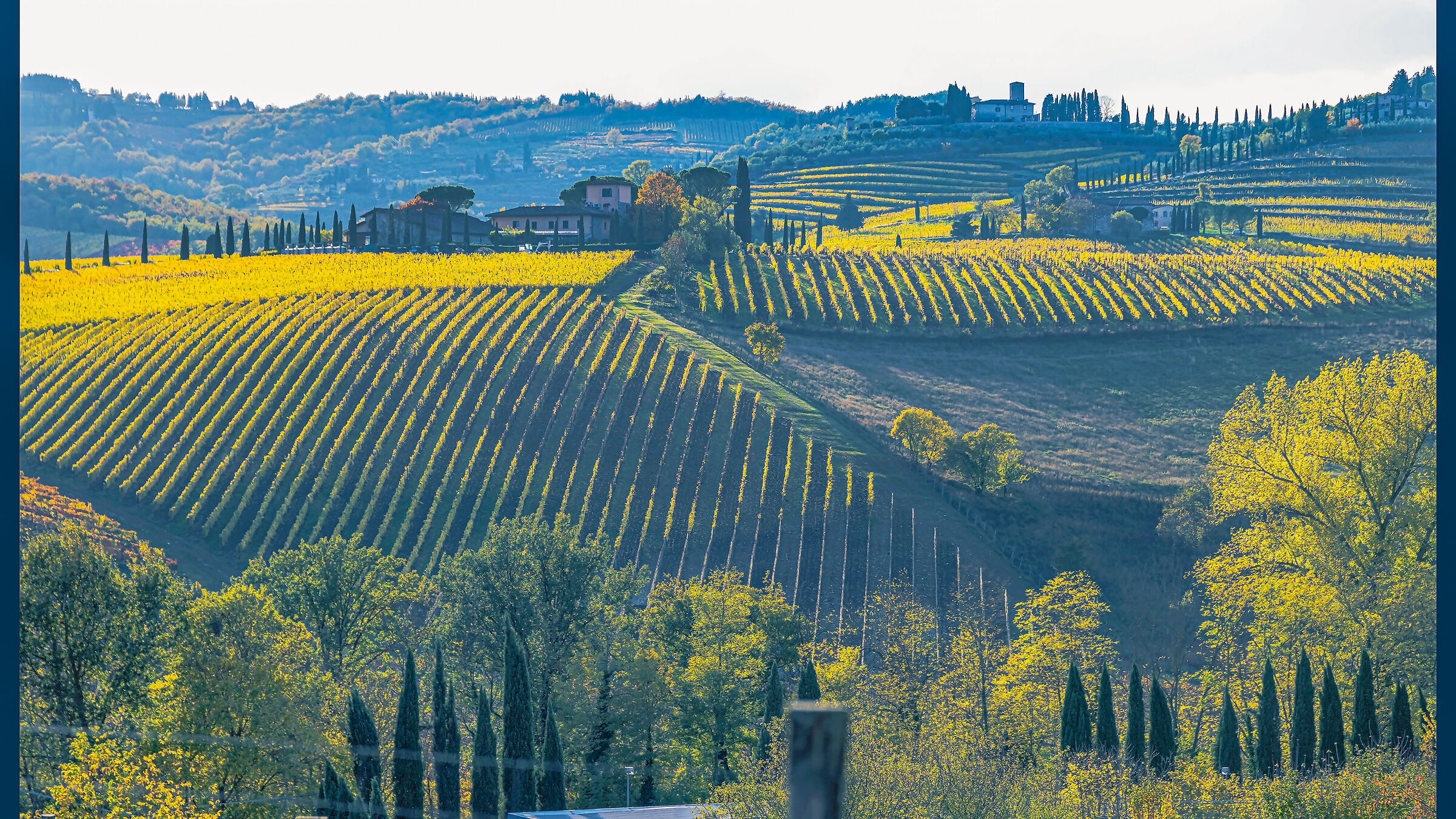 Sunset over the vineyards