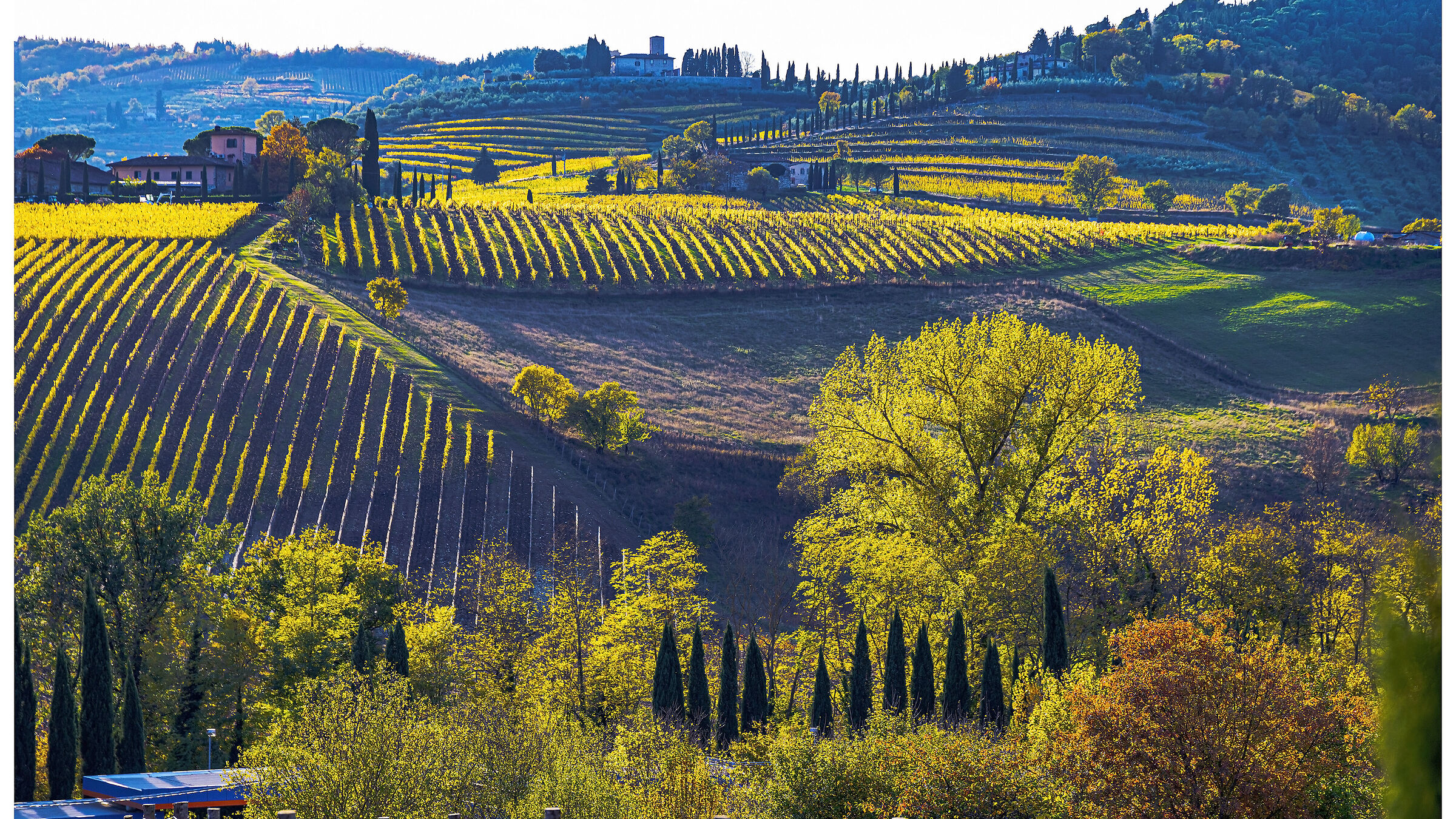 The vineyards in Chianti