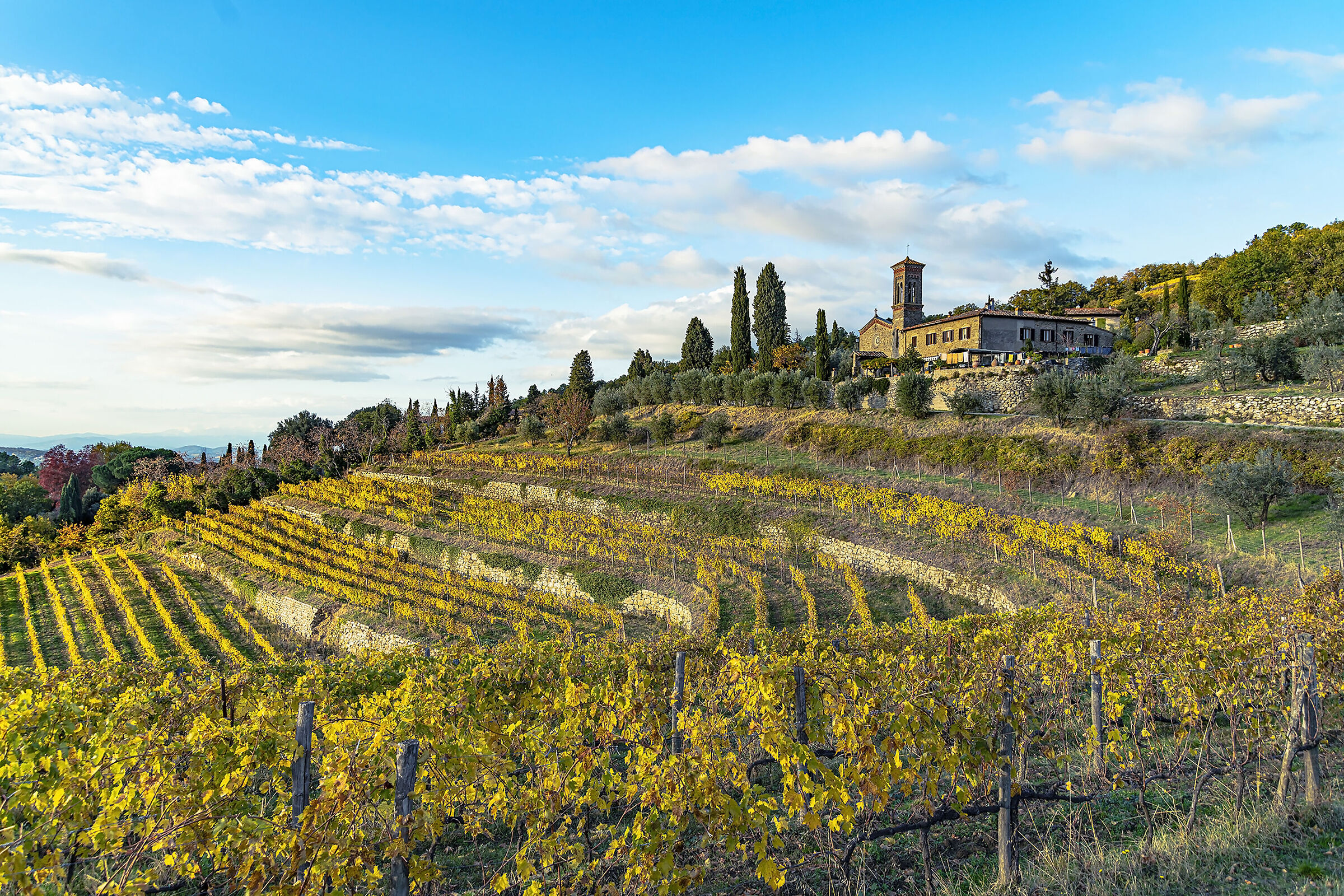 The Church of Casole di Lamole and the terraced vineyards