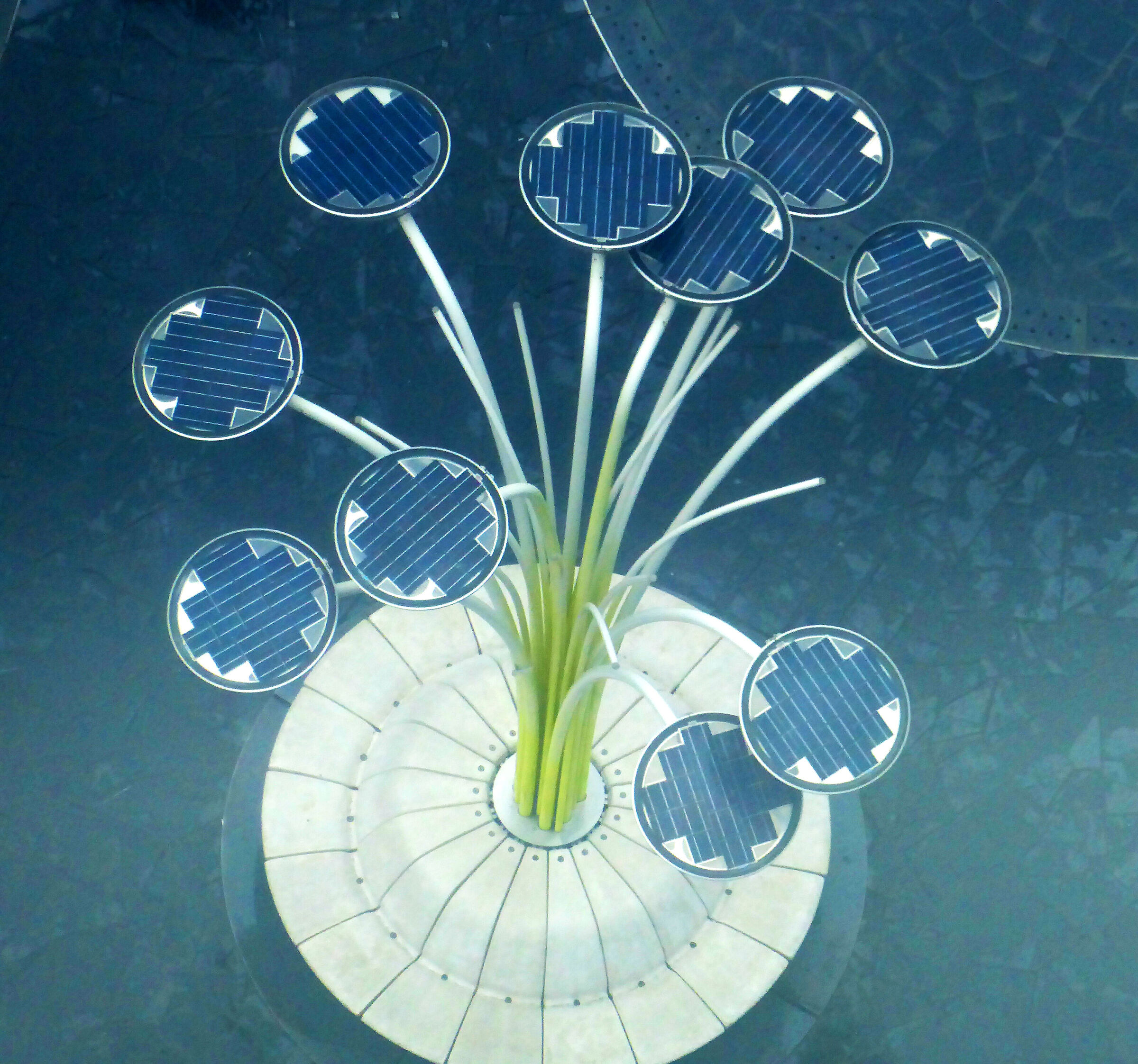 il fiore di piazza Gae Aulenti