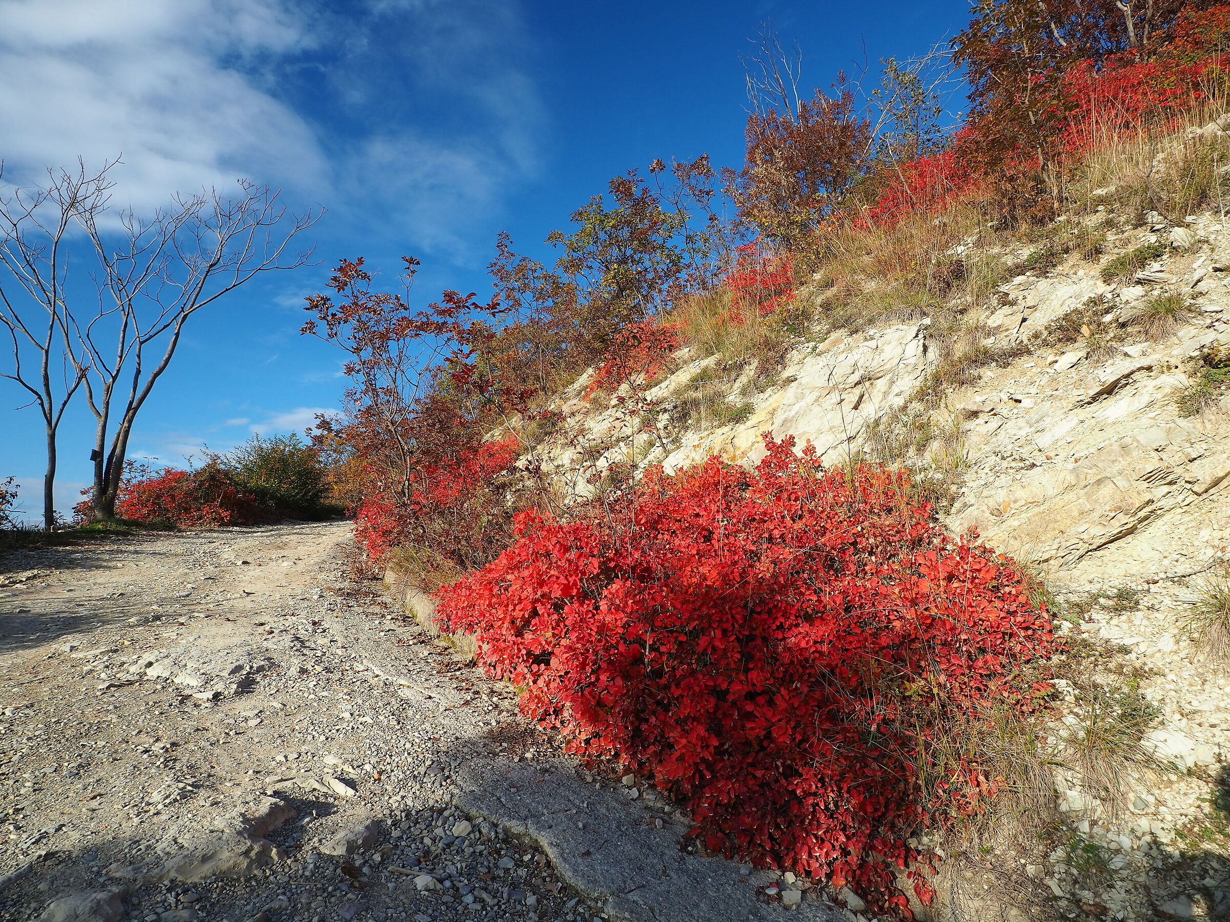 colori d'autunno in Franciacorta