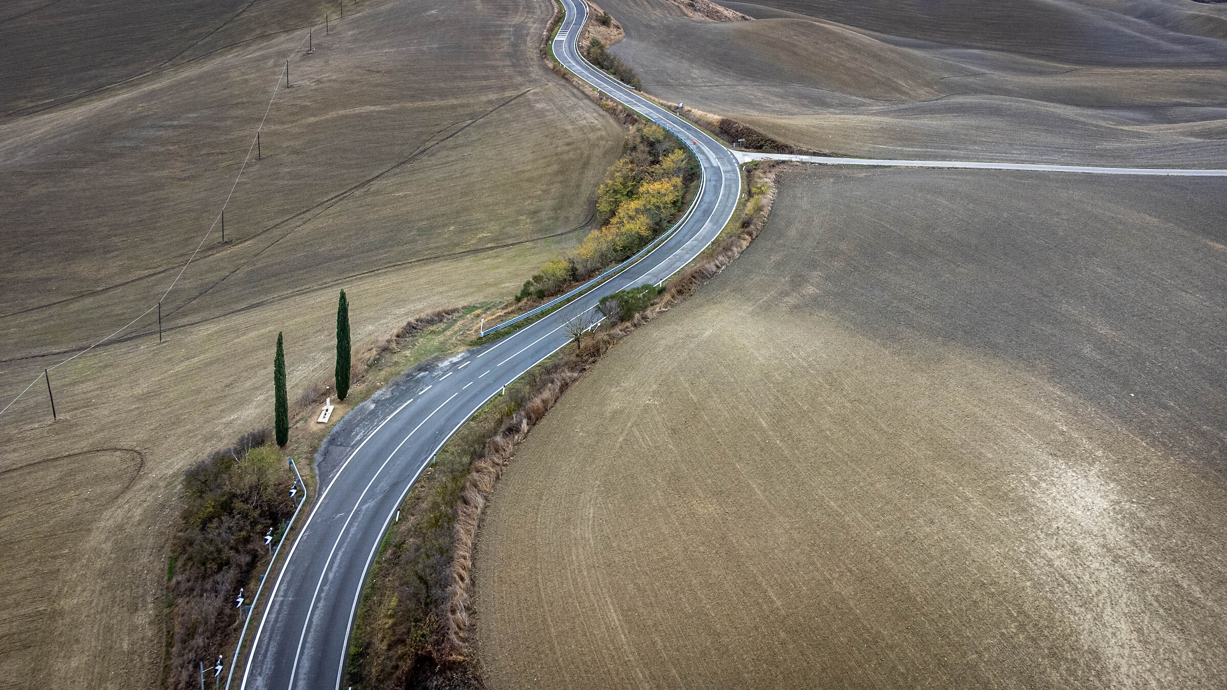 Curve