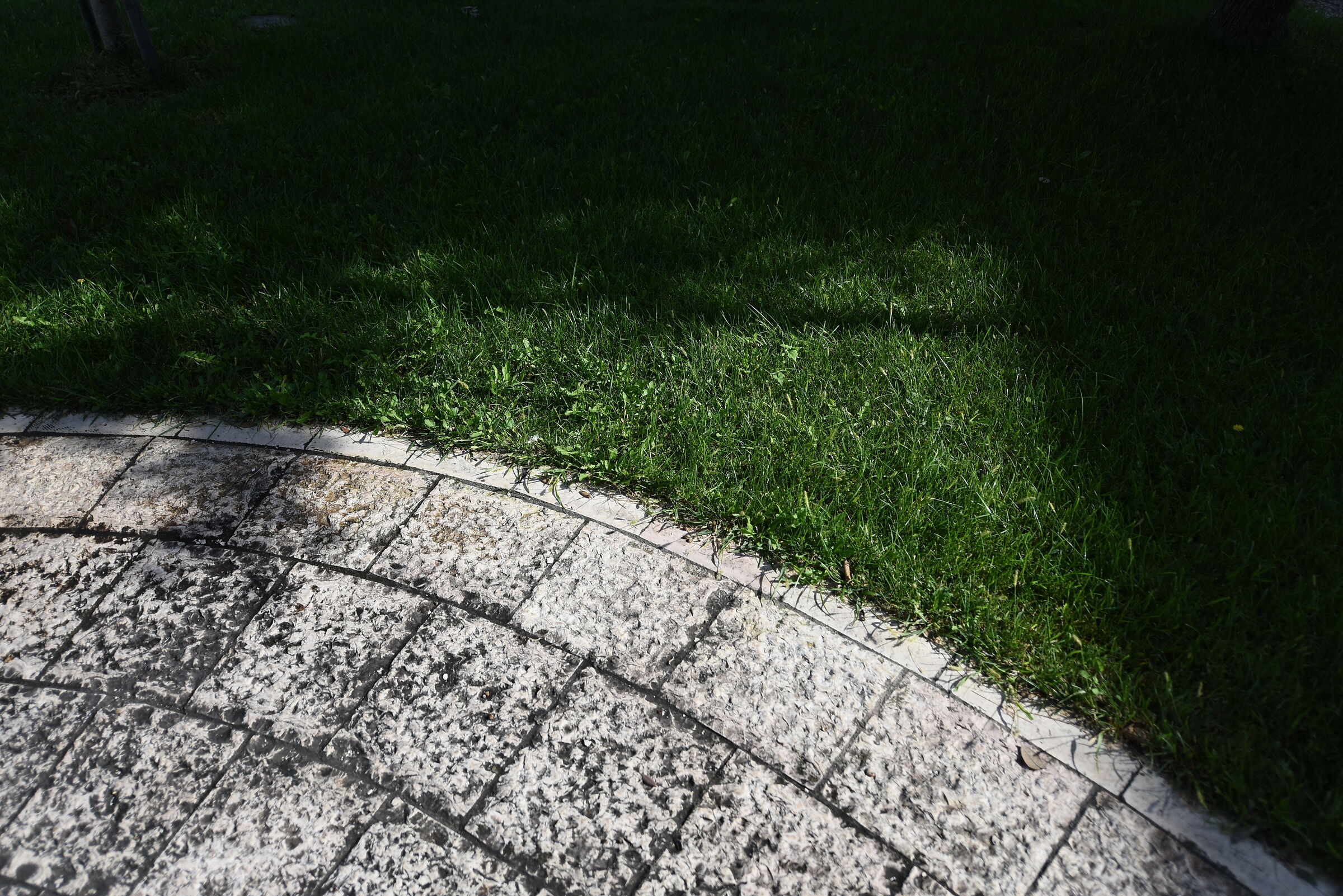 Nikon 750 / Otus Zeiss 28, 1.4