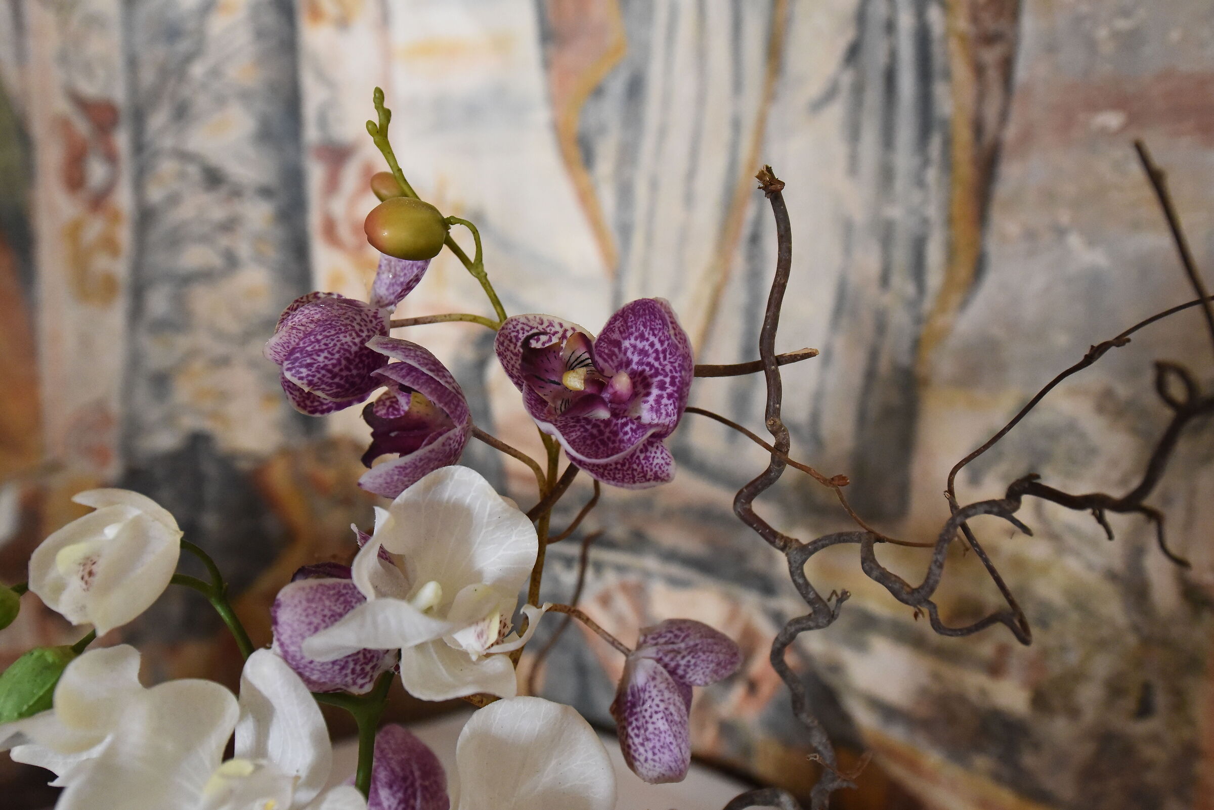 ISO, 8,000 / Nikon Otus Zeiss